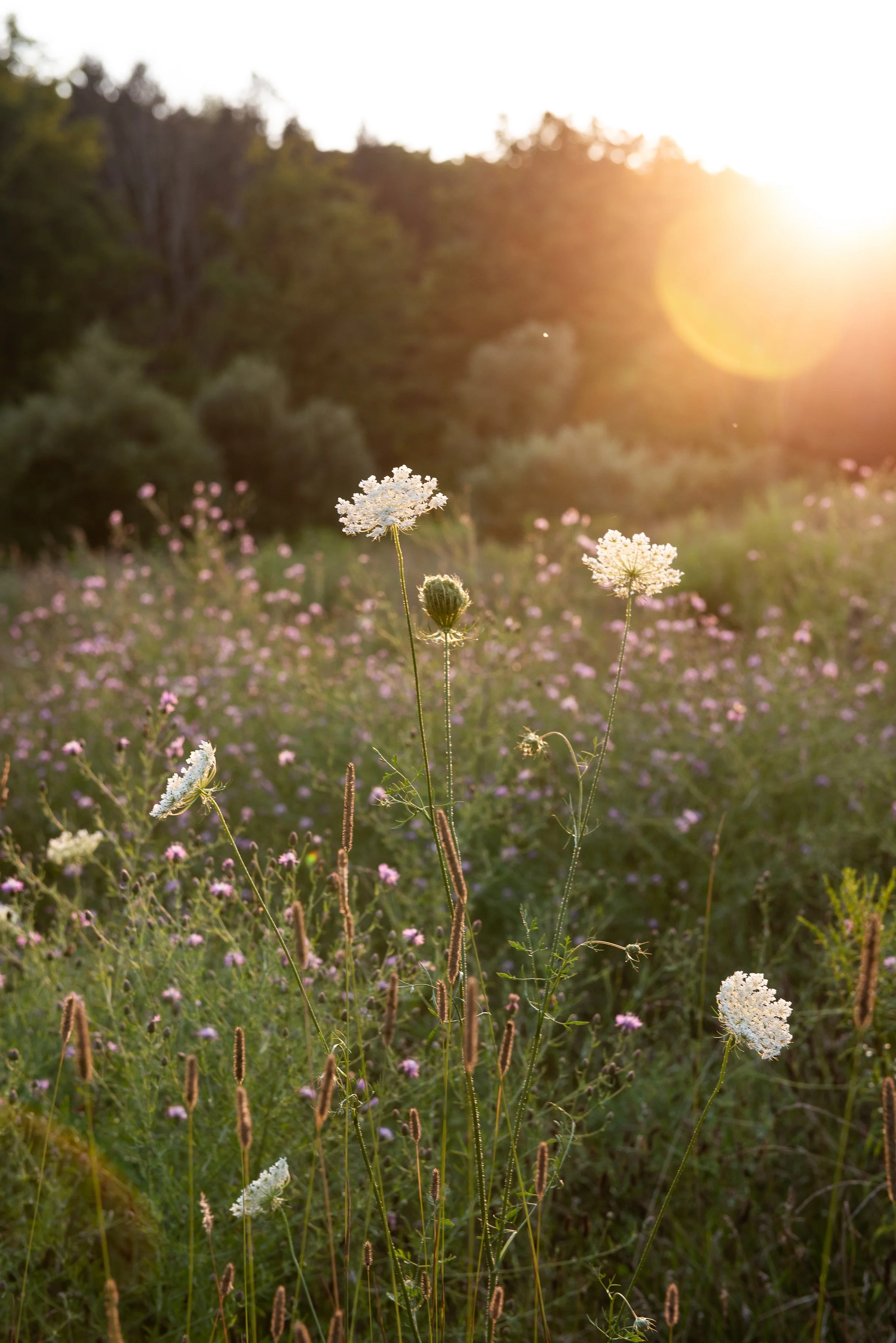 JoannArrudaphotography-105.jpg