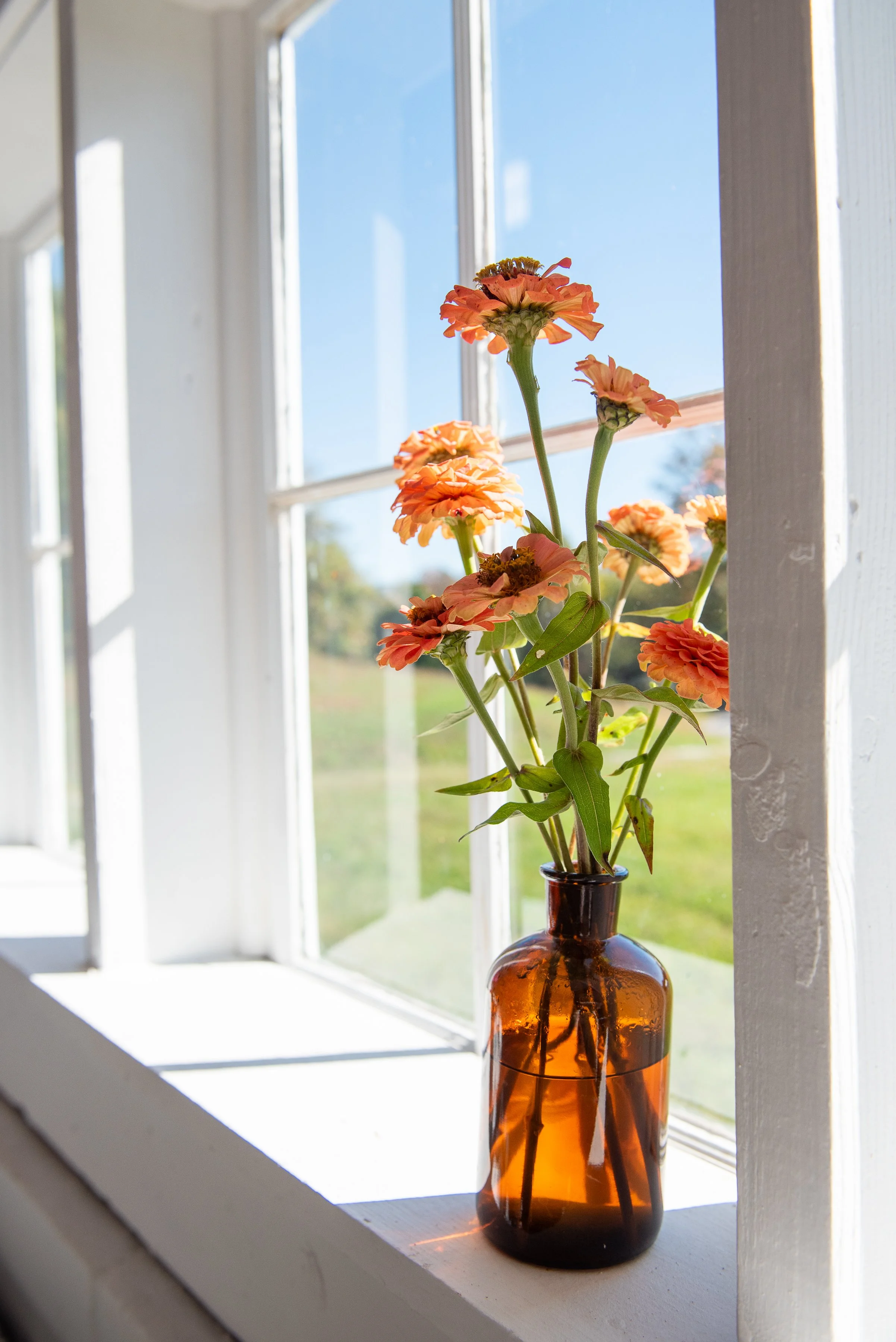 JoannArrudaPhotography-080.jpg