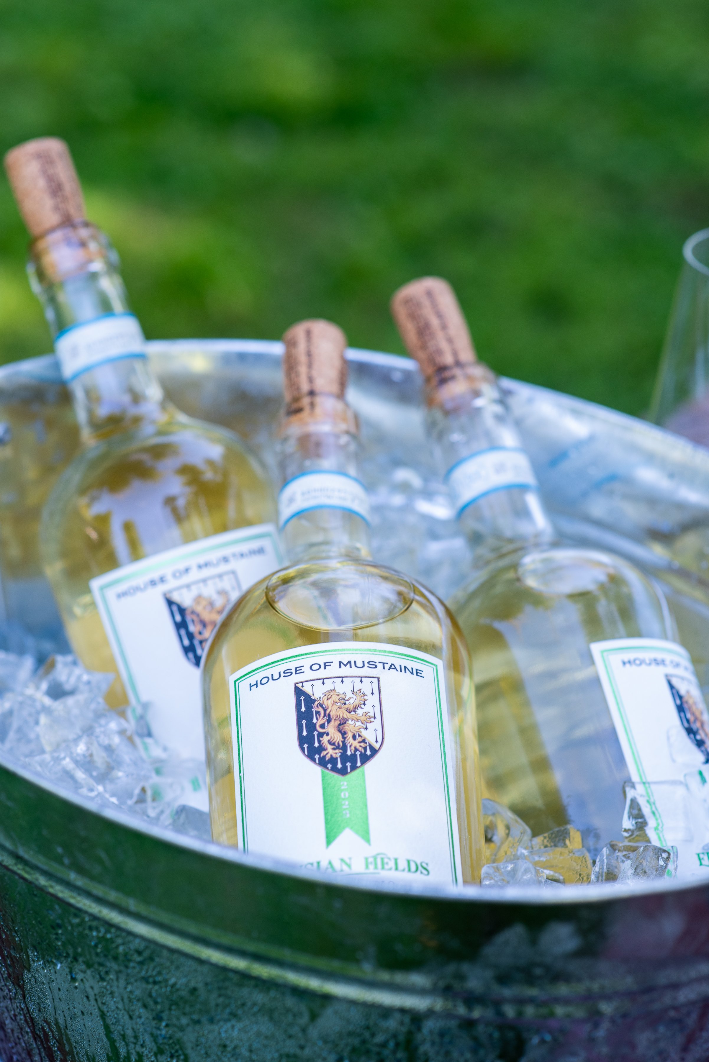 JoannArrudaPhotography-097.jpg