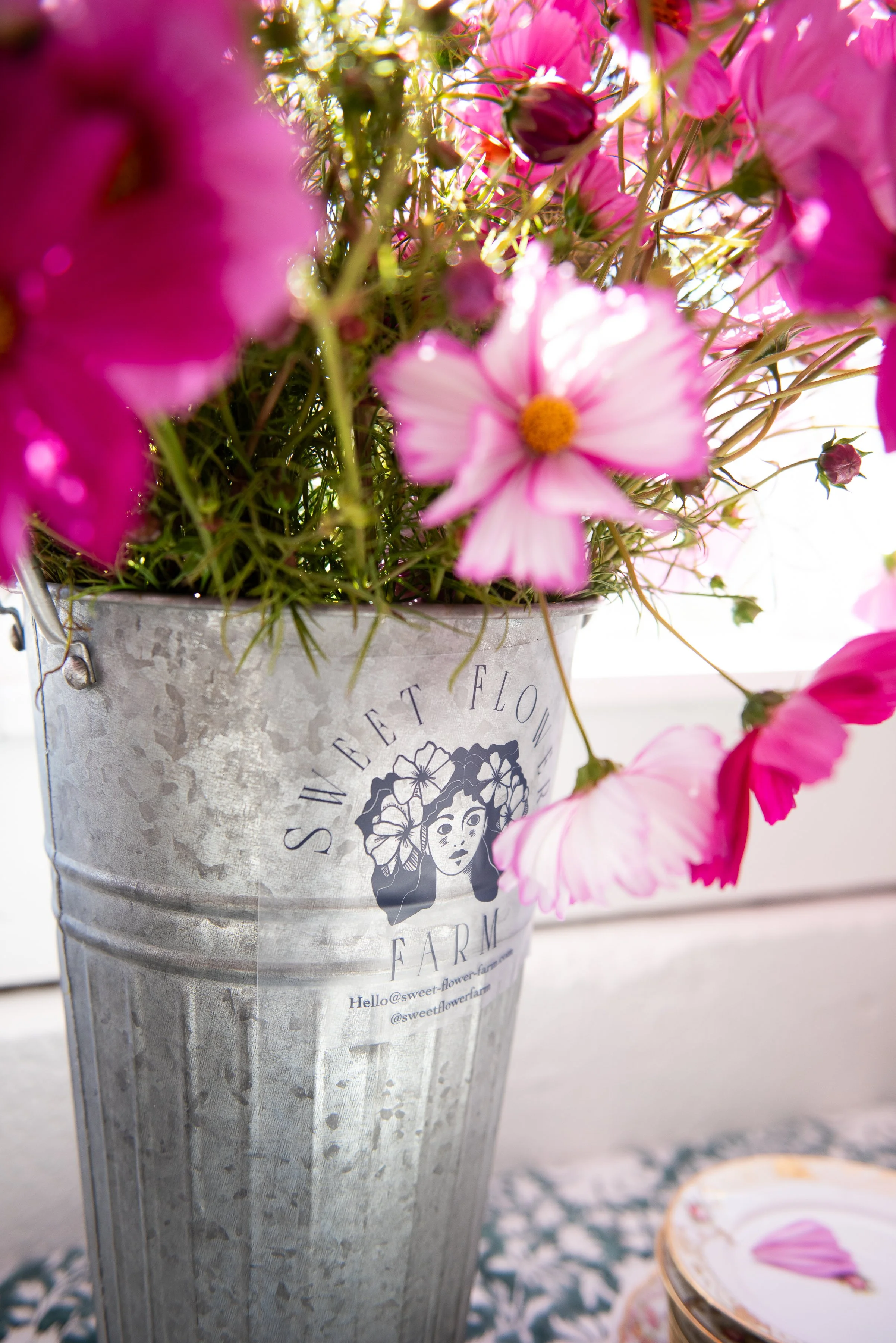 JoannArrudaPhotography-165.jpg