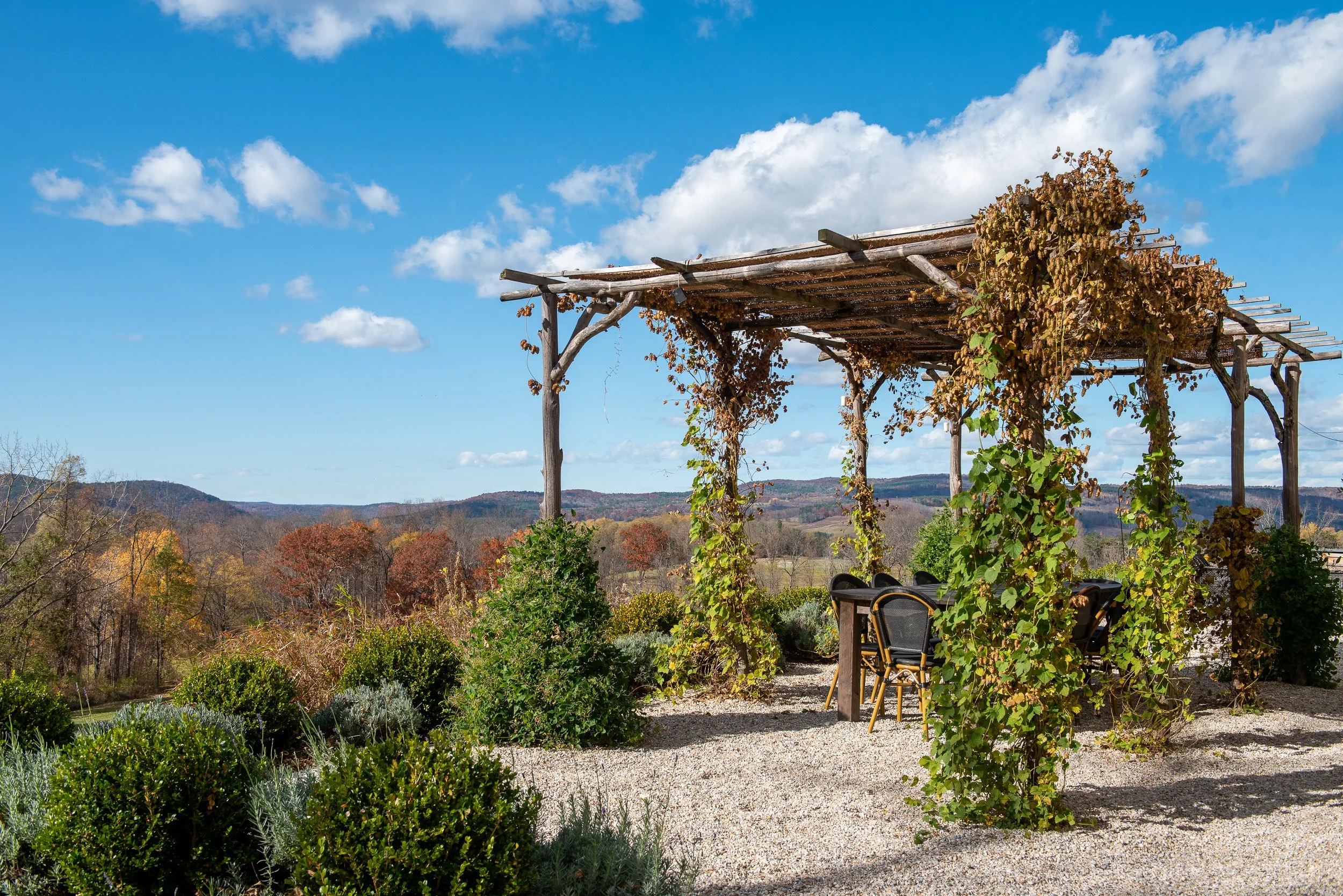 JoannArrudaphotography-556.jpg