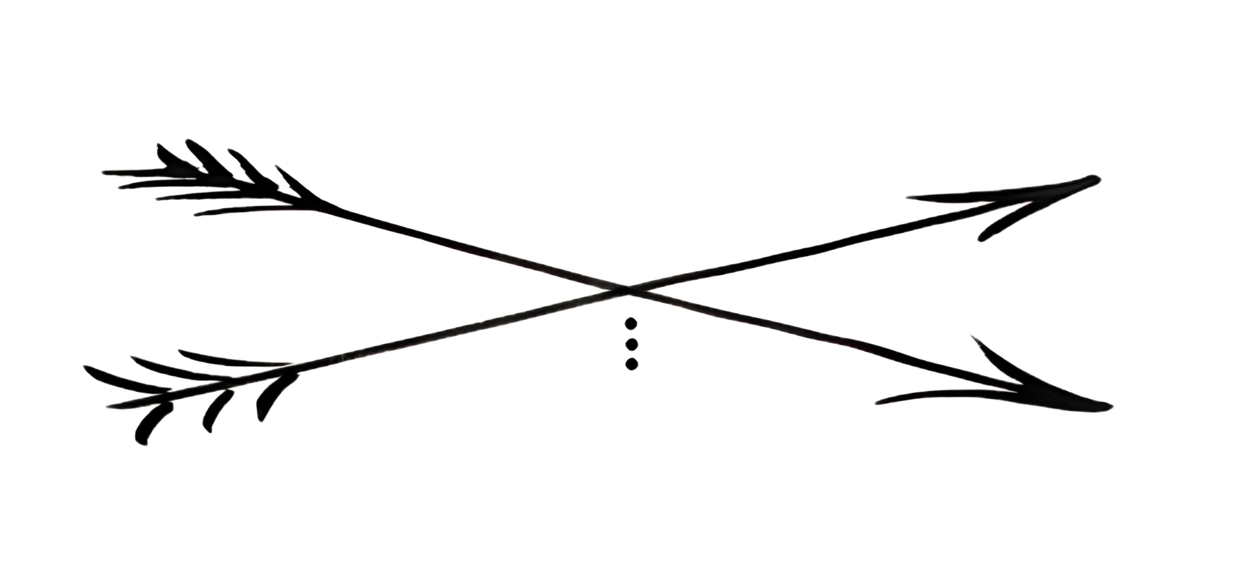 Stylized crossbones with feathers and droplet accents against a dark background.