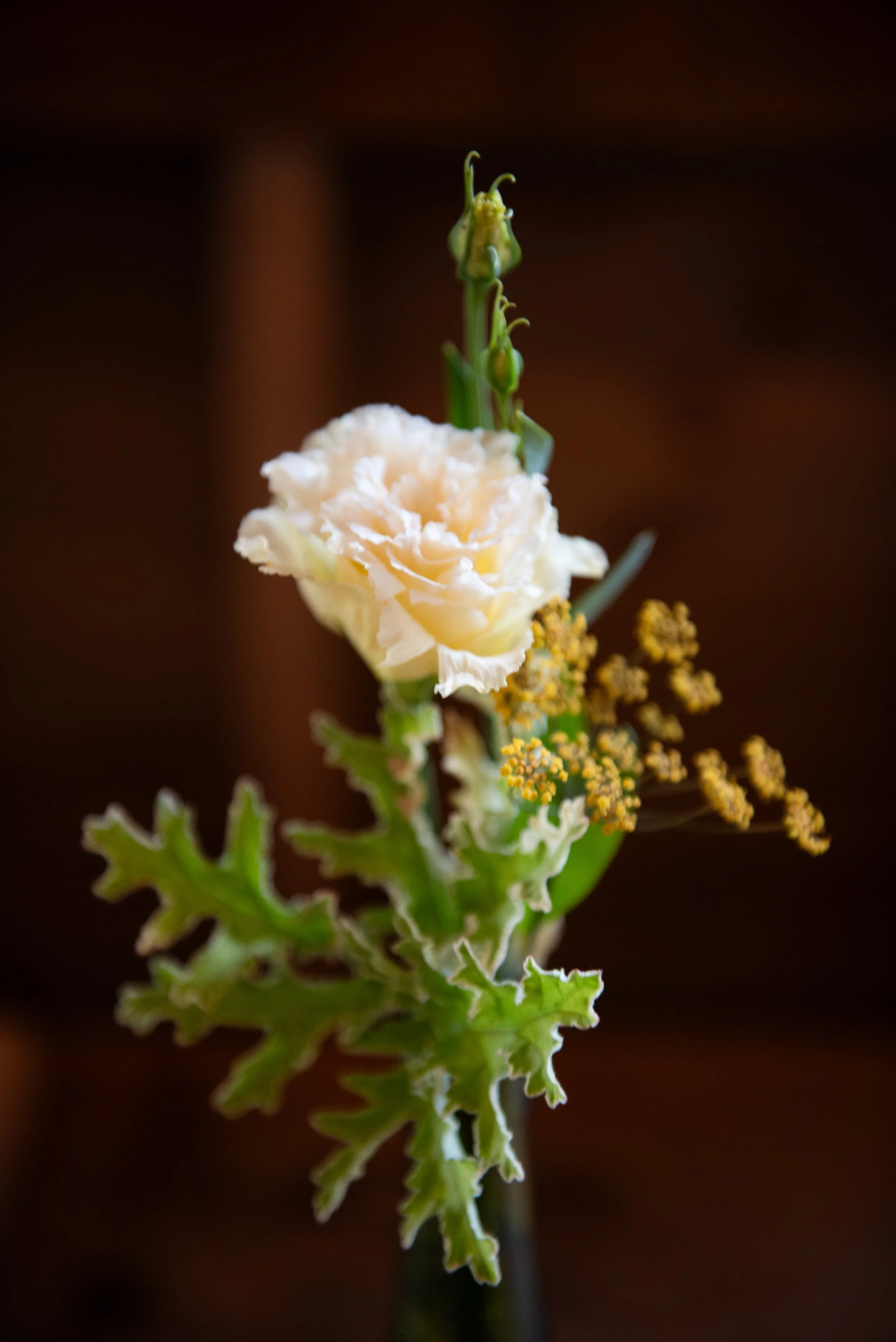 JoannArrudaphotography-182.jpg