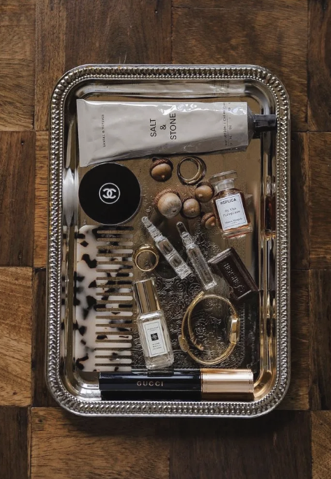 On Having Good Taste: Aesthetic Intelligence