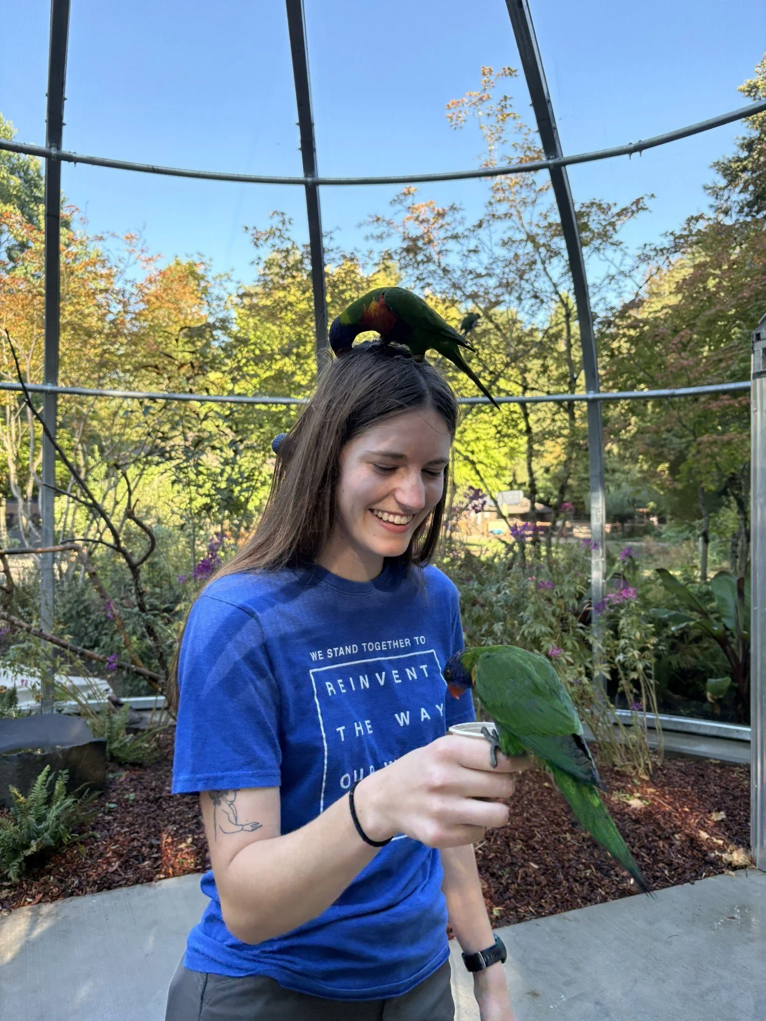 Ash Grove Supports New Lorikeet Landing at Seattle's Woodland Park Zoo
