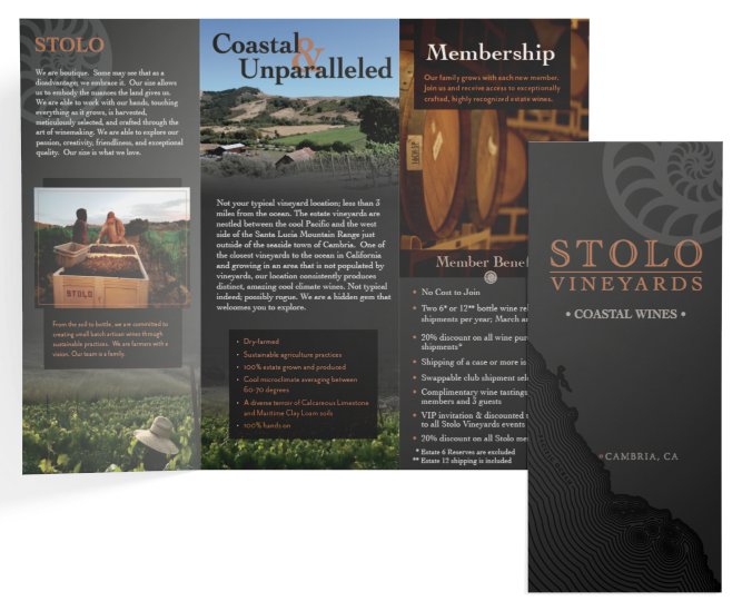 Trifold Brochures Mockup.png