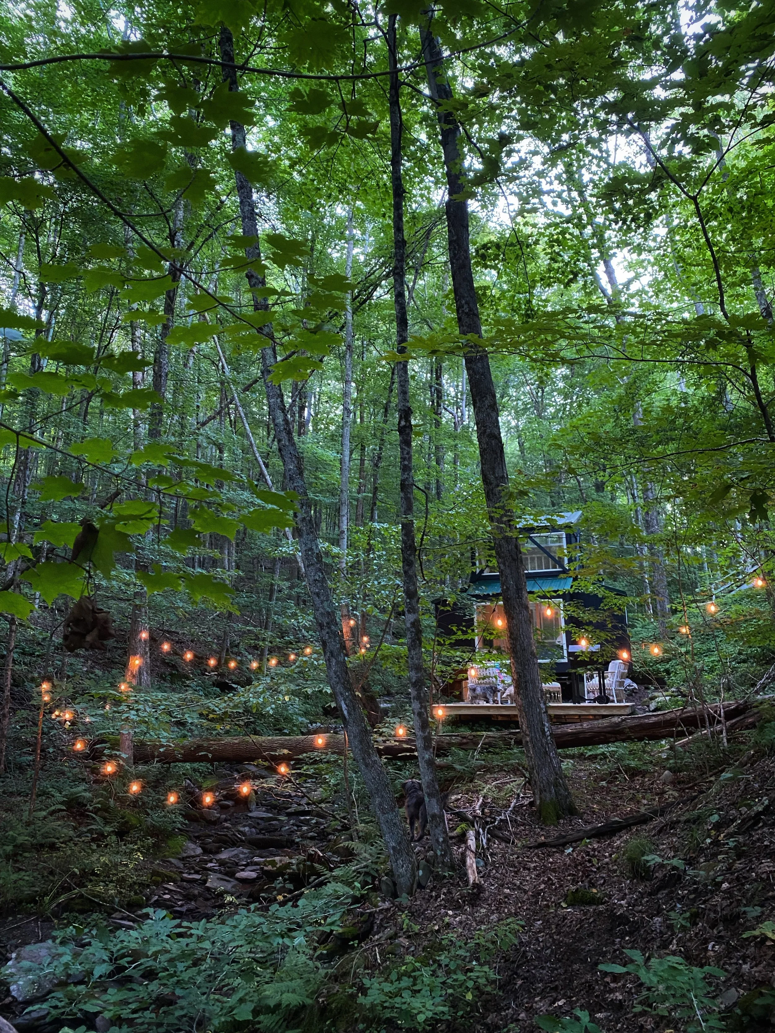 A cozy outdoor setting in a forest featuring string lights hanging between trees, with a patio area on a wooden deck, including a table and chairs, illuminated softly among green foliage.