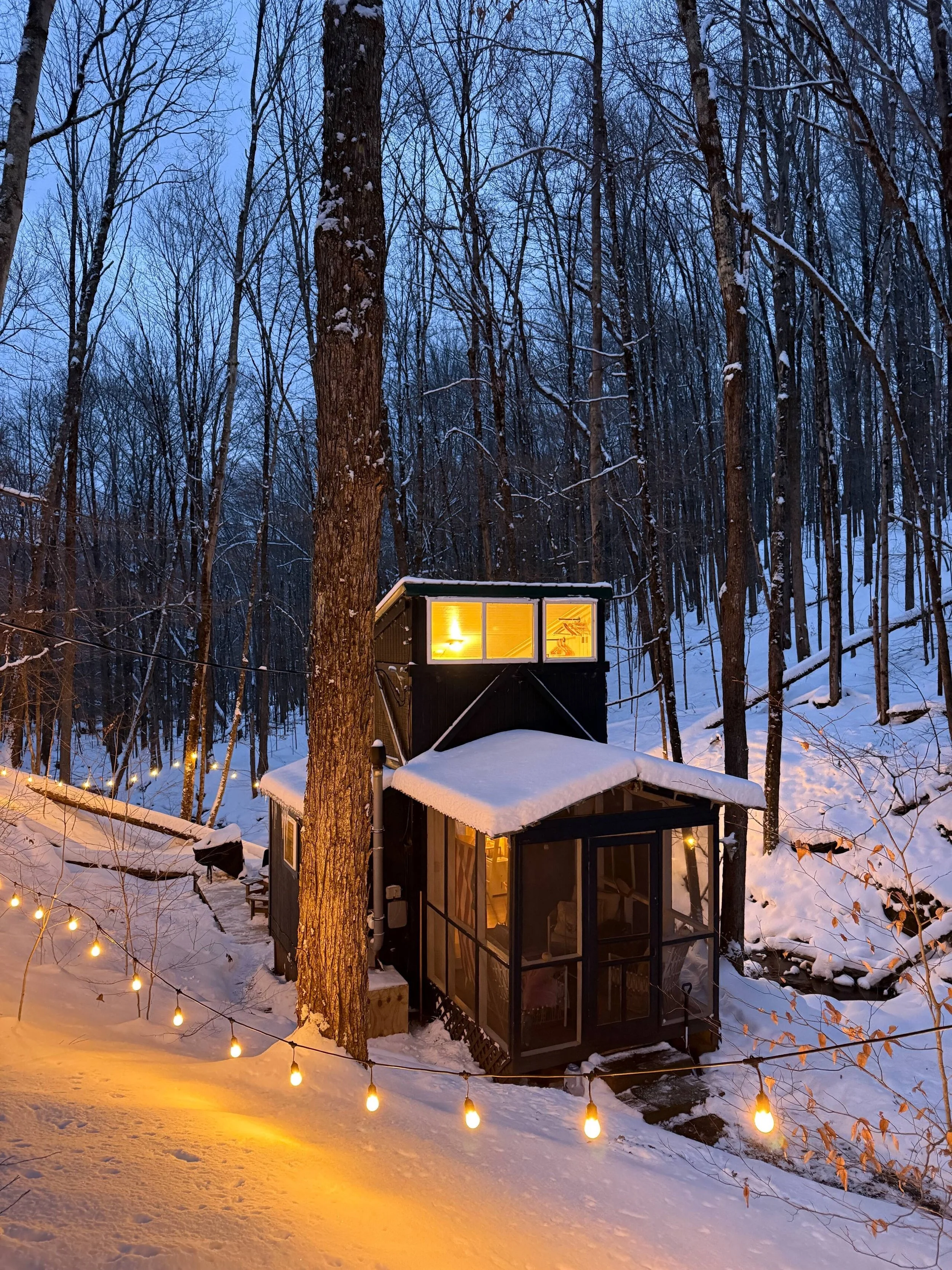 A small modern cabin with large windows glowing with warm interior lights, situated in a snow-covered forest at dusk. String lights are draped across the snowy ground in the foreground.