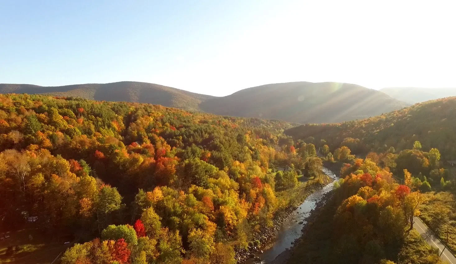 Aerial view of a forest with trees showing fall colors, a river flowing through, and mountains in the distance during sunset.