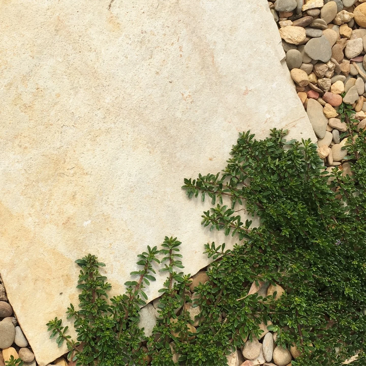 From above, it&rsquo;s all about balance 🌿
Stone, timber, and greenery working together
&hellip;
#landscaping
#landscapedesign
#landscaper
#landscapeconstruction
#geelonglandscaper