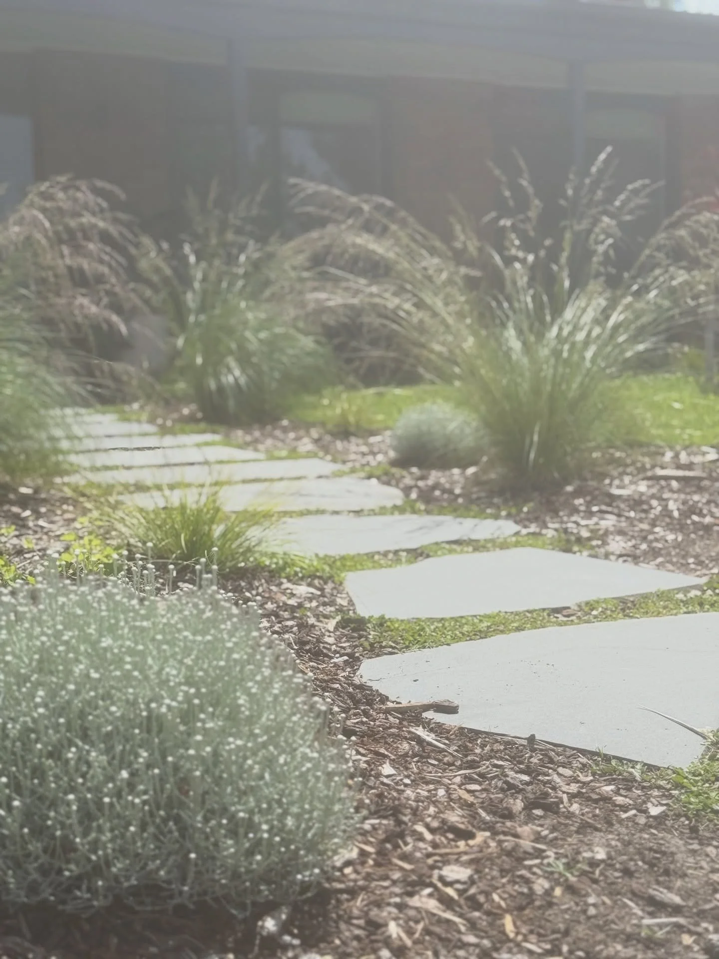 Would you walk this path every day? 🌾
We&rsquo;d love to build it for you.
#geelonglandscaping #GeelongLandscaping #GeelongLandscaper #gardengeelong #frontyardgarden