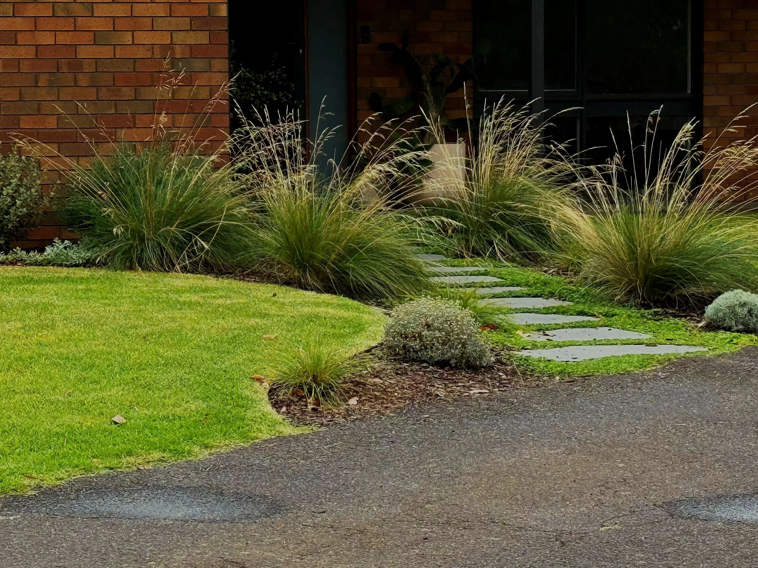 Front yard with green grass, ornamental grasses, small shrubs, a pathway with stepping stones, and a brick house with black windows and a partially visible door.