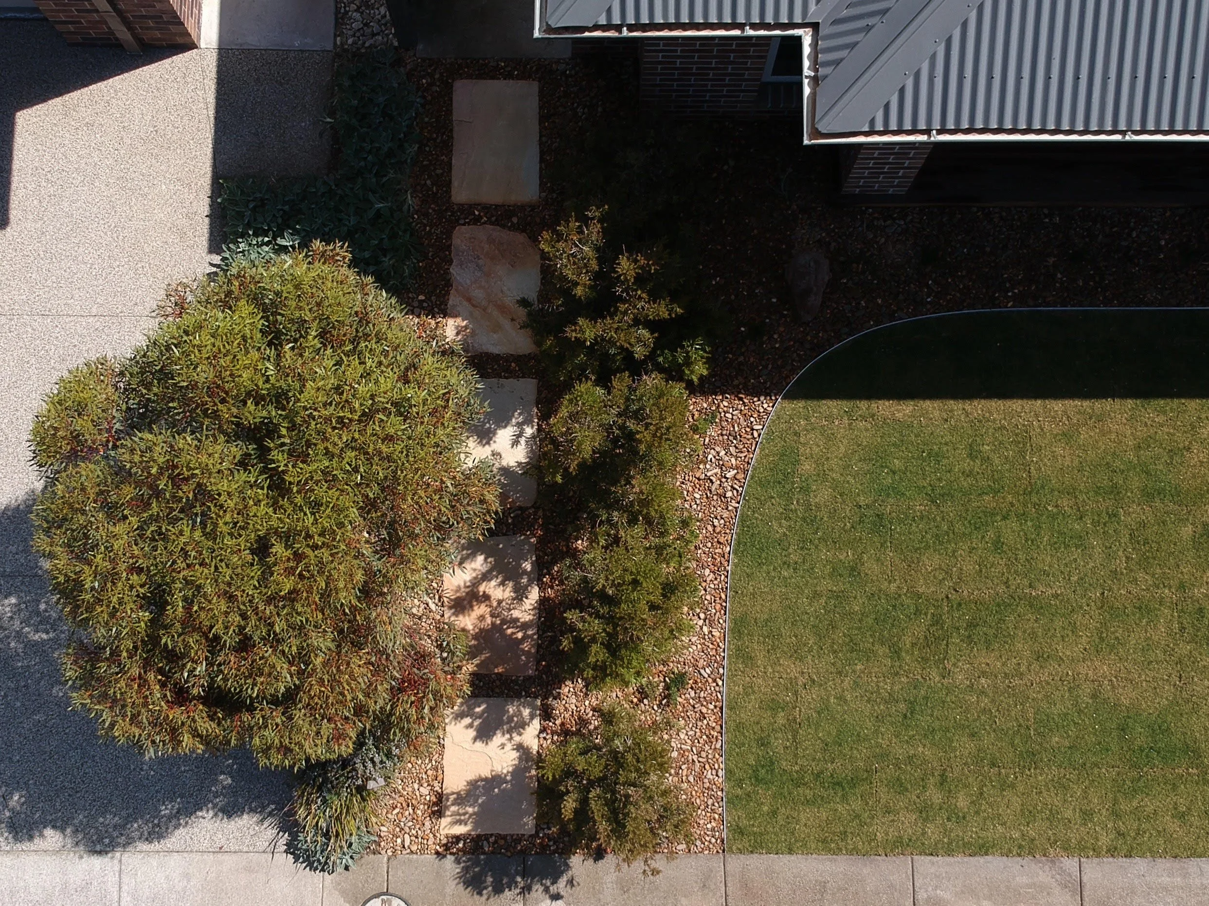 An aerial view of a landscaped yard showing a large tree, smaller bushes, a green lawn, a sidewalk, and part of a house with a metal roof.