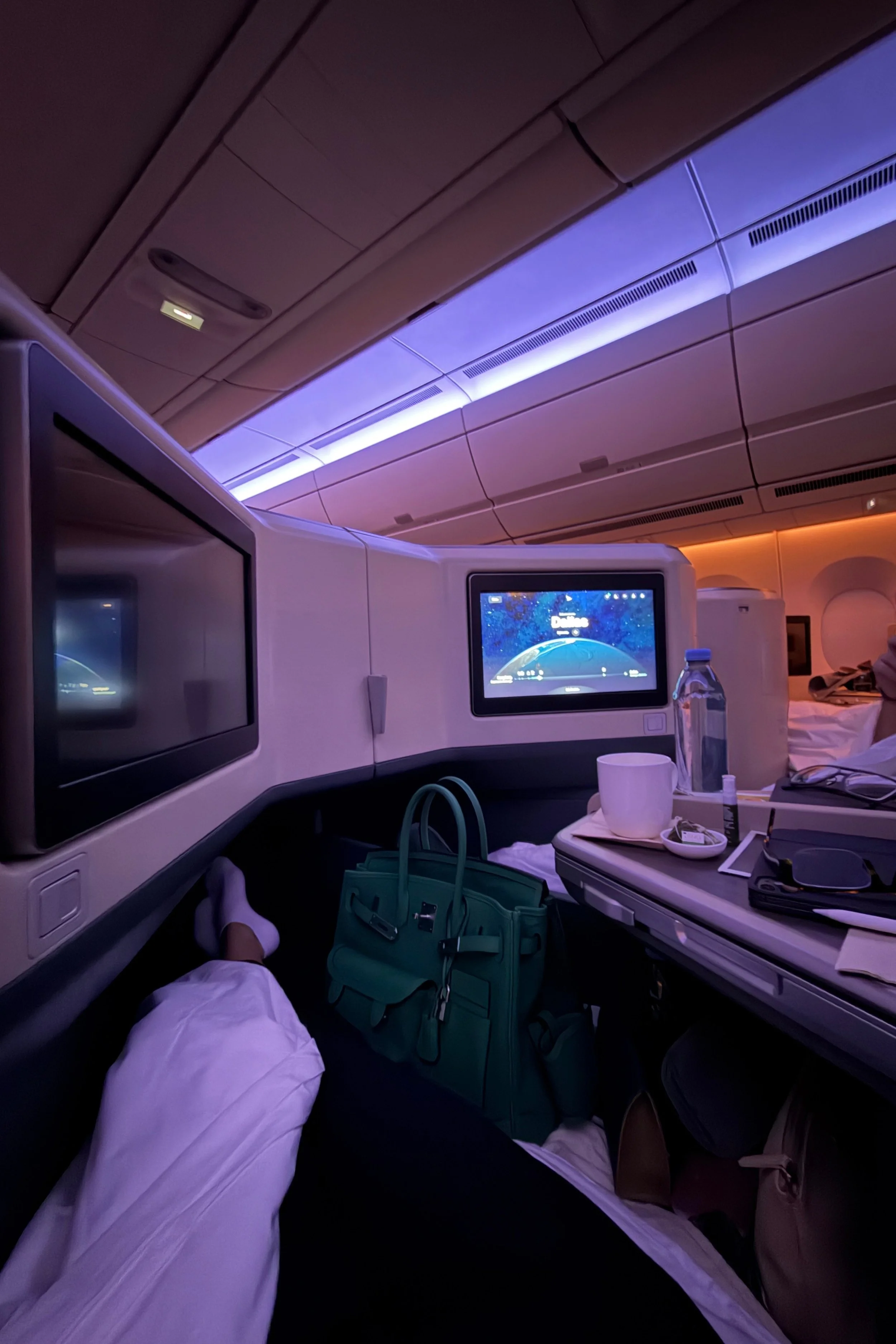 hermes-birkin-cargo-35-airplane-travel.jpg