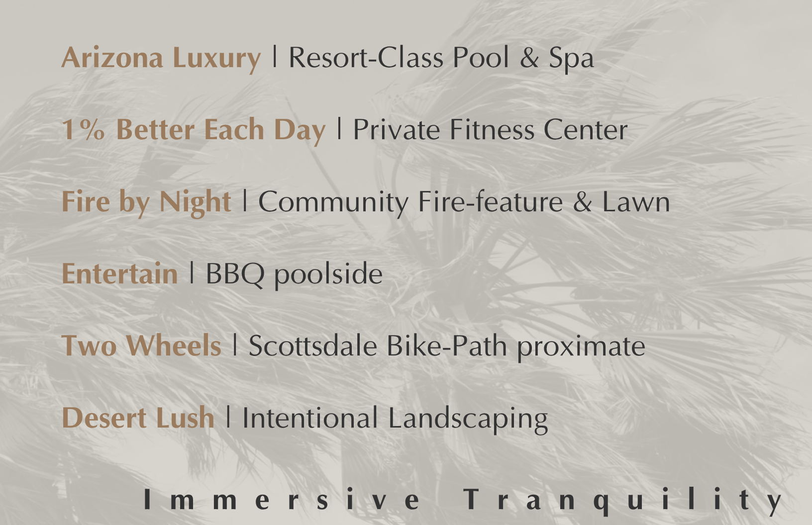 Text listing amenities of a luxury Arizona resort, including resort-class pool, private fitness center, fire by night, BBQ poolside, bike path, and landscape. The background has a faint image of palm leaves.