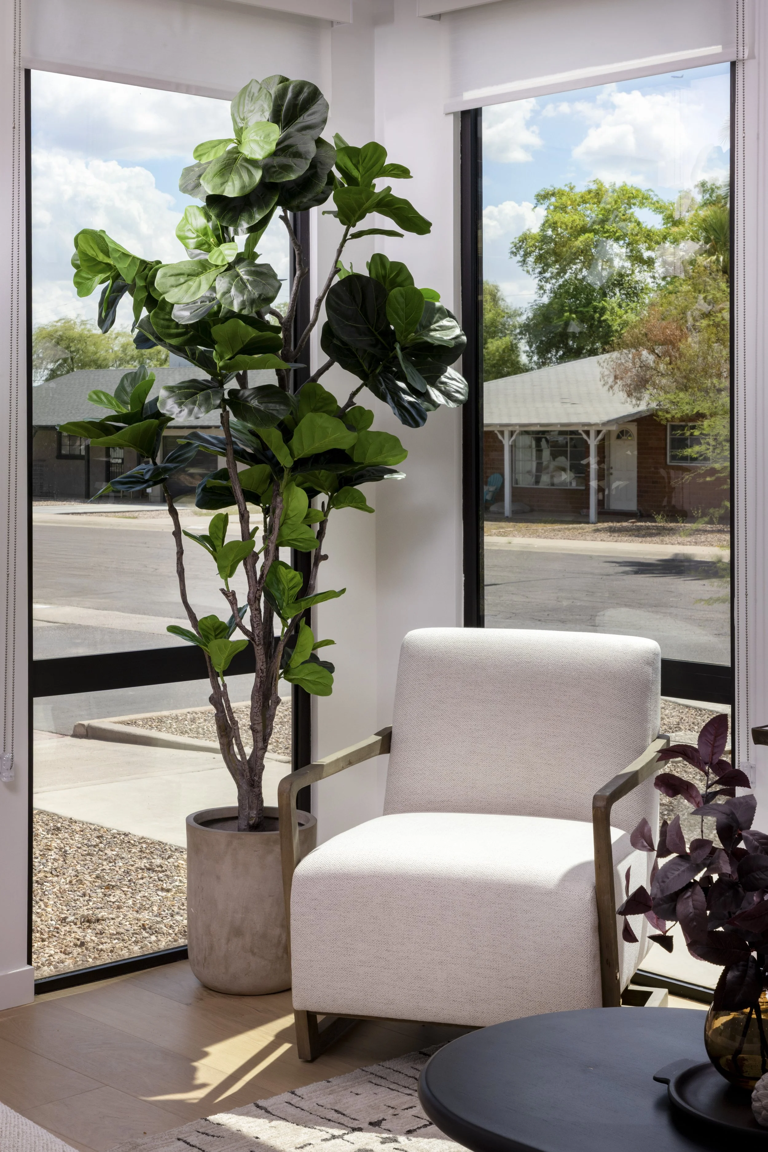 Indoor scene with a large leafy houseplant in a beige pot, a white upholstered chair with wooden armrests, a black side table with a round top, and large floor-to-ceiling windows showing a view of suburban houses, trees, and a partly cloudy sky outsi