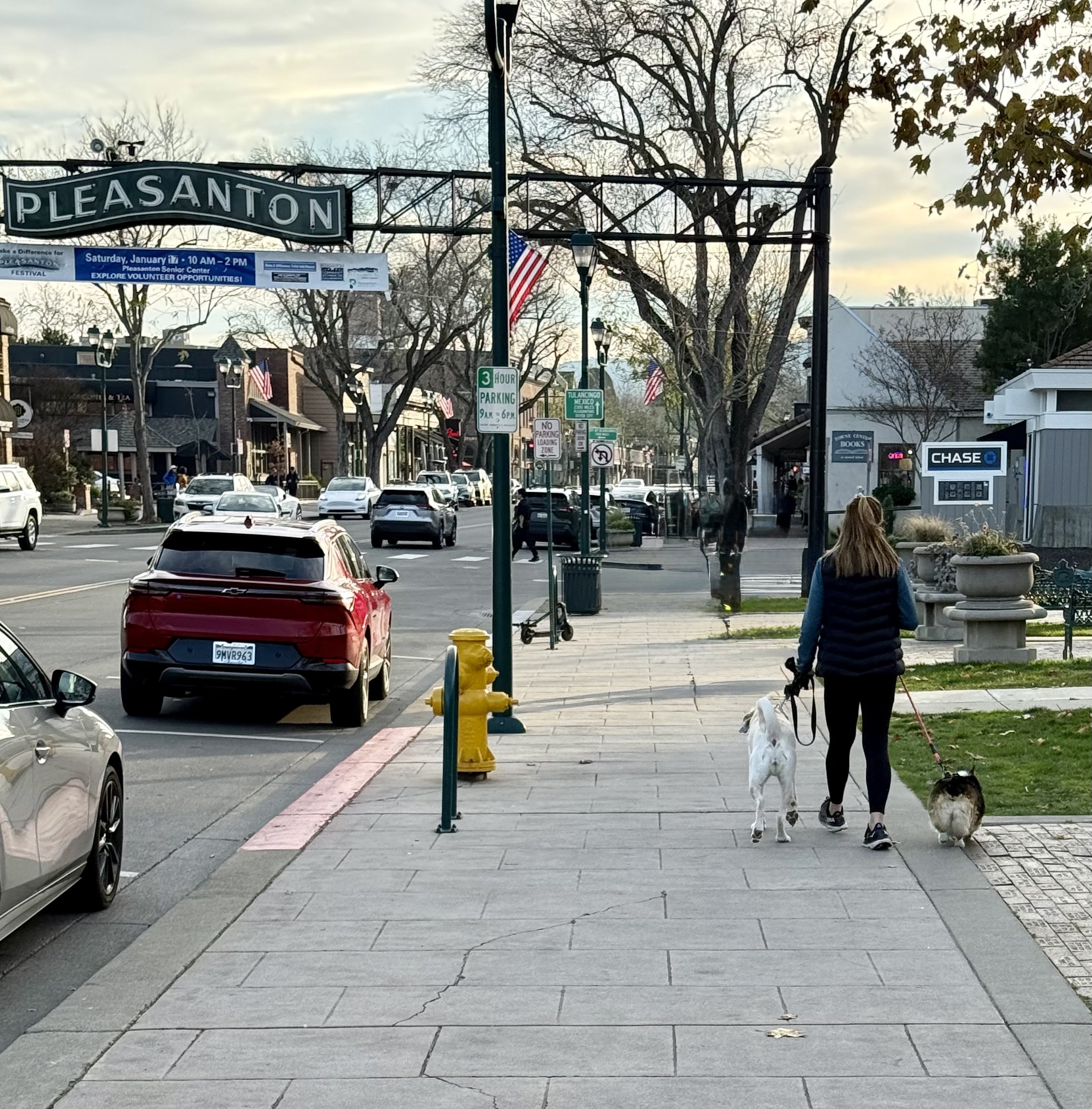 A woman walking her dogs along a sidewalk