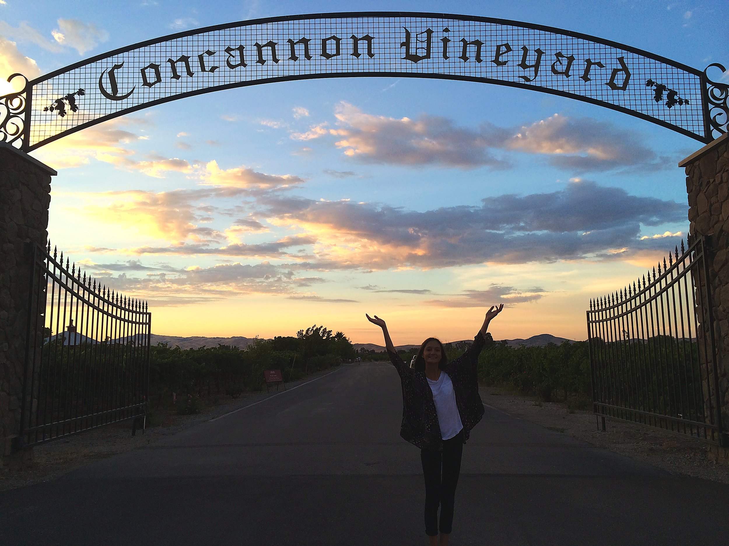 Person standing with arms raised in front of an entrance gate with the sign reading 'Caronation Vineyard' during sunset.