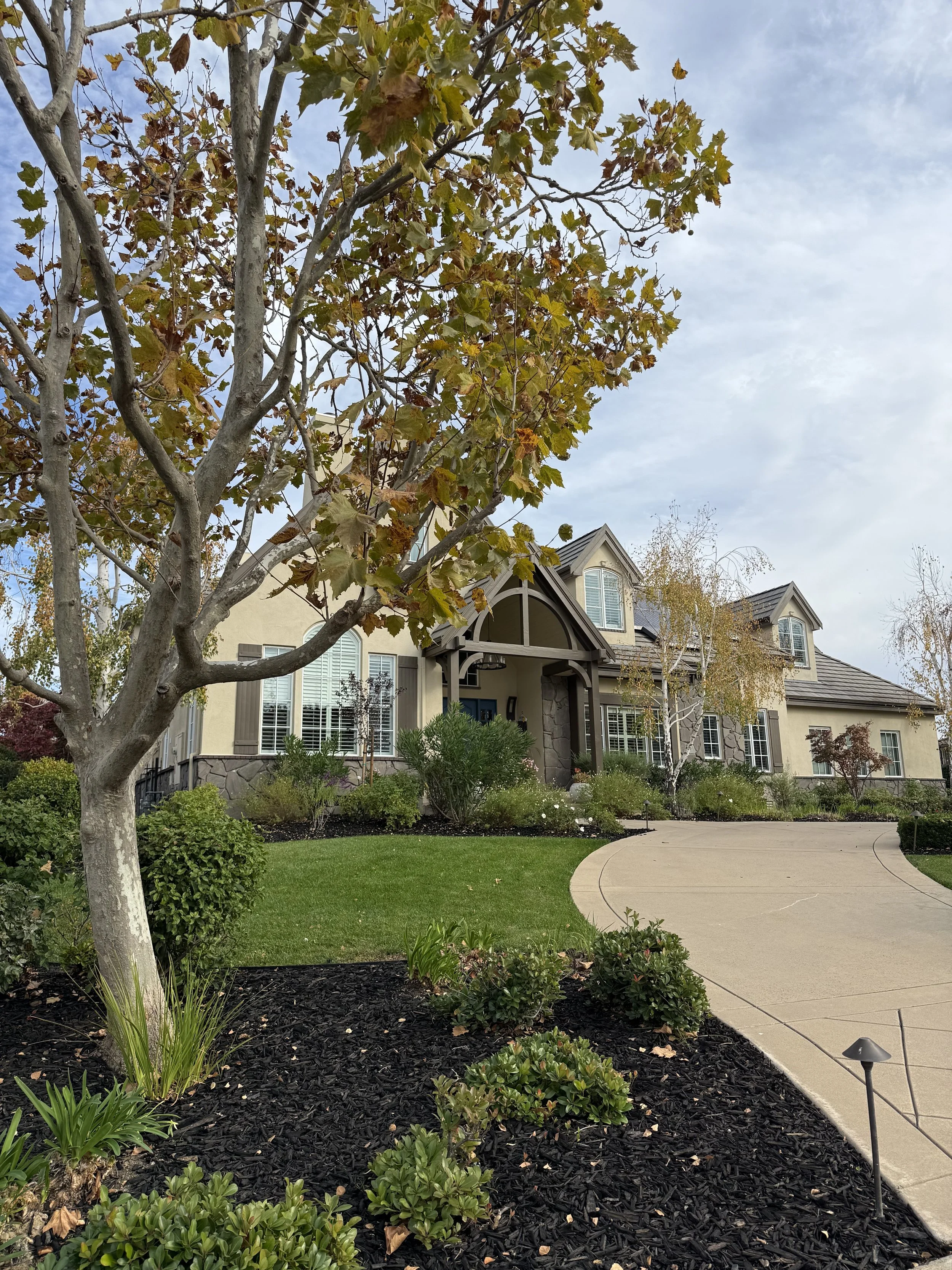 A pathway to the house