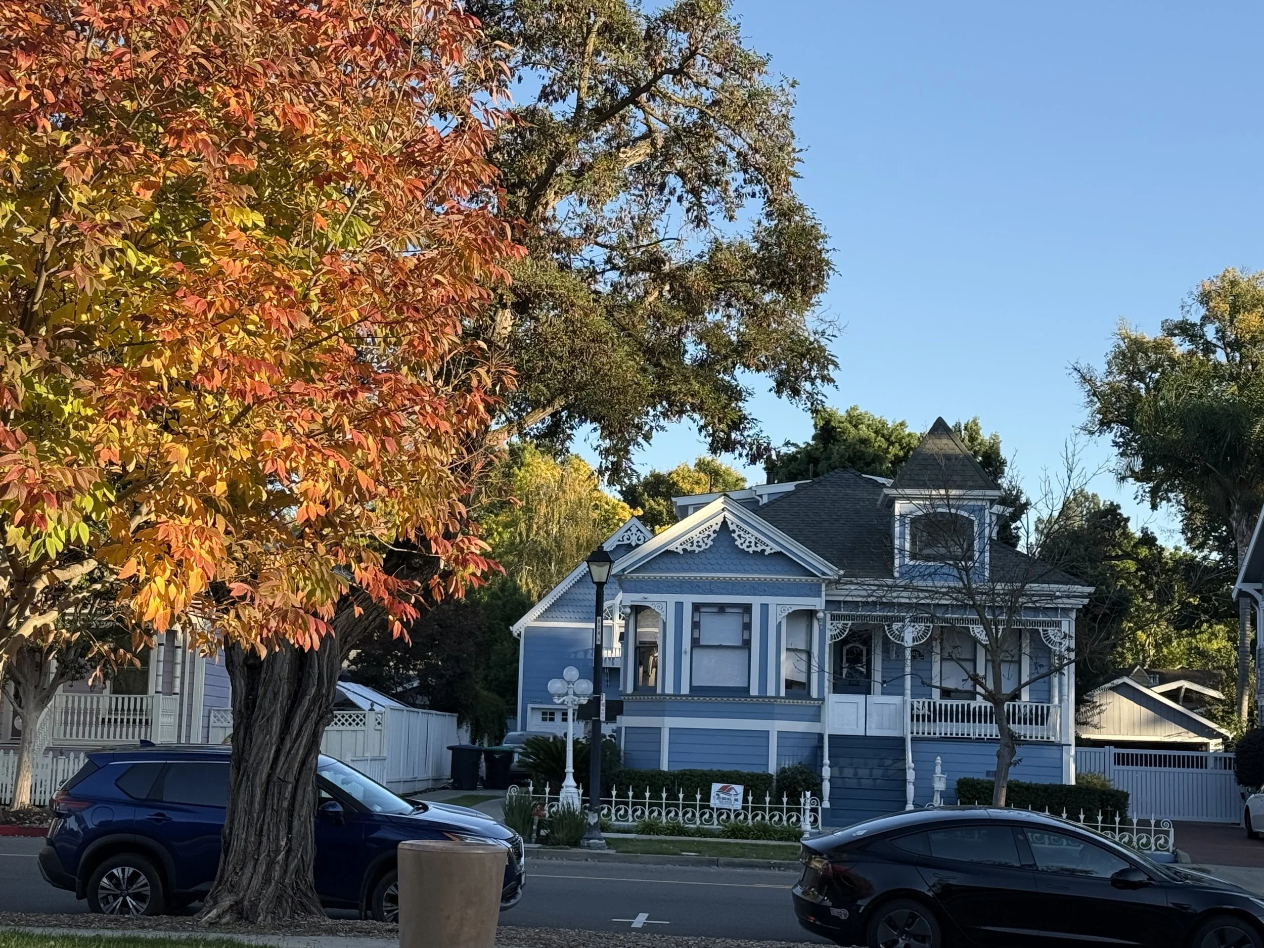 A street scene with parked cars, a large tree with orange and red autumn leaves, and blue Victorian houses with white trim in the background. The sky is clear and blue.