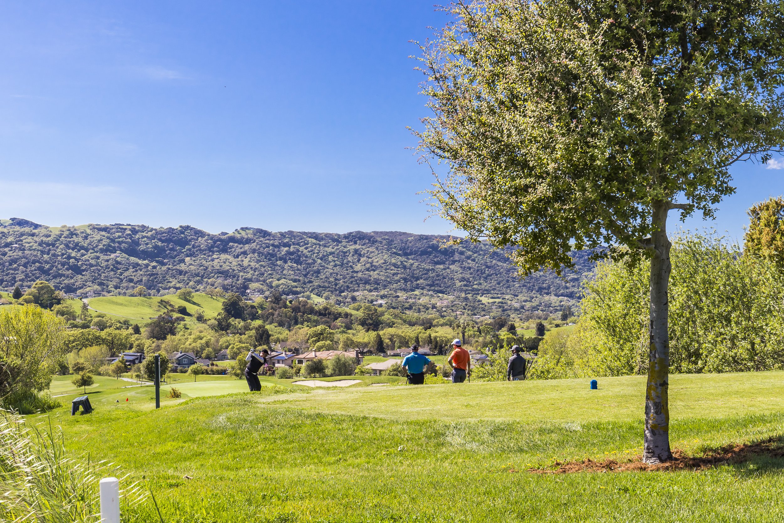 Landscape of Pleasanton