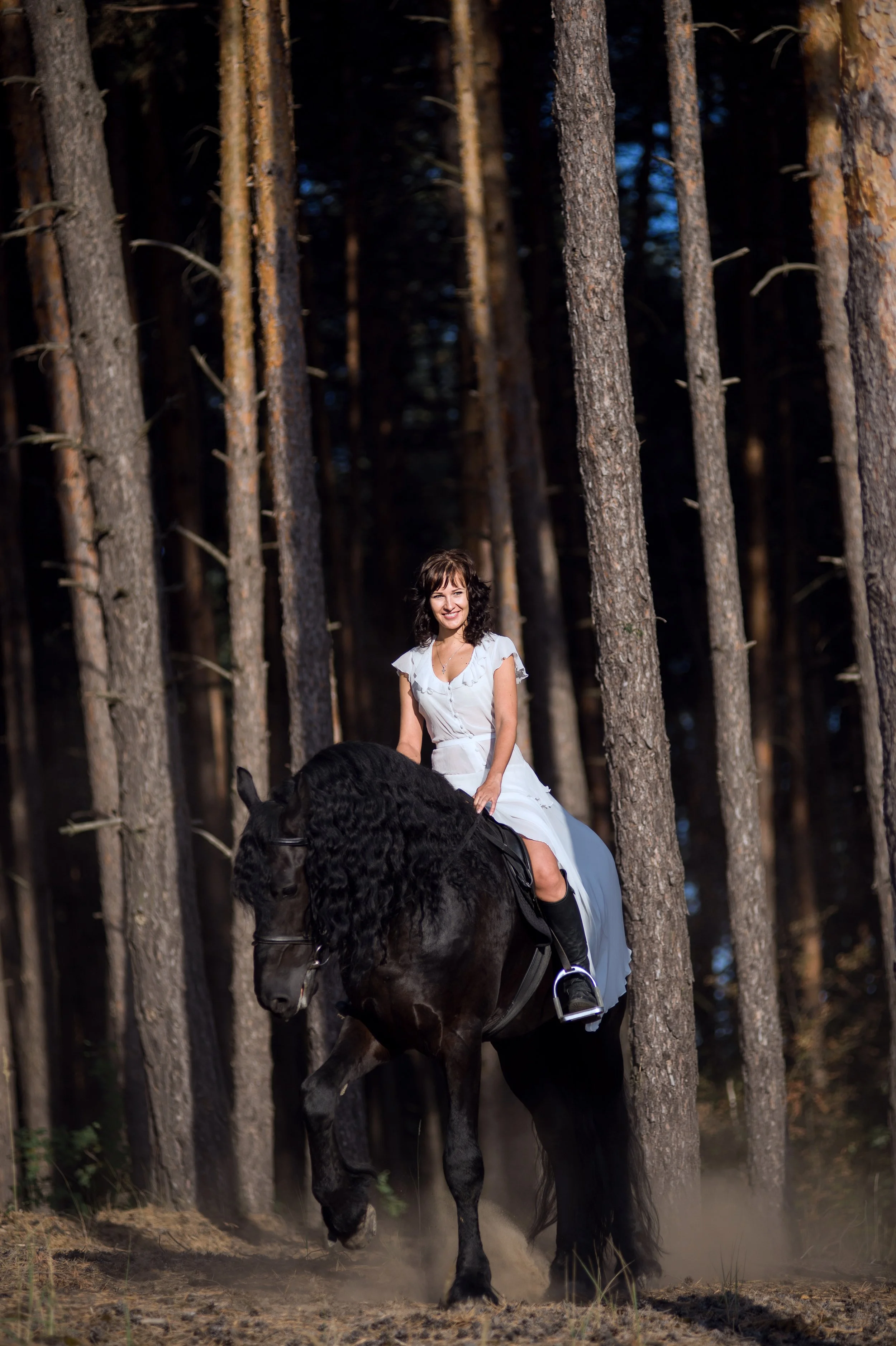 Freeze horse in the woods.jpg