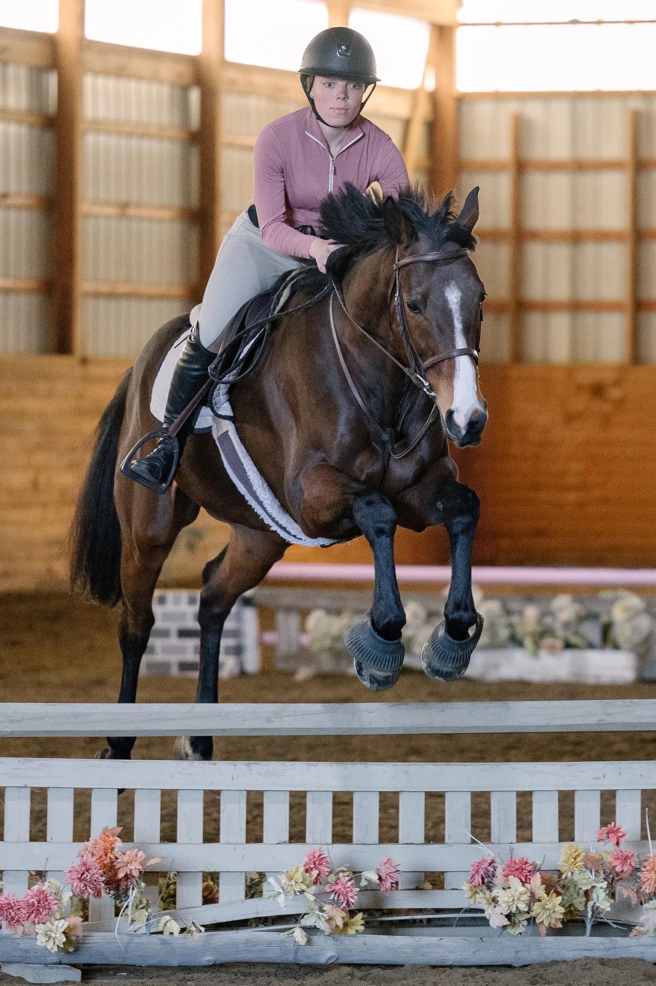Horse Show & Event Coverage