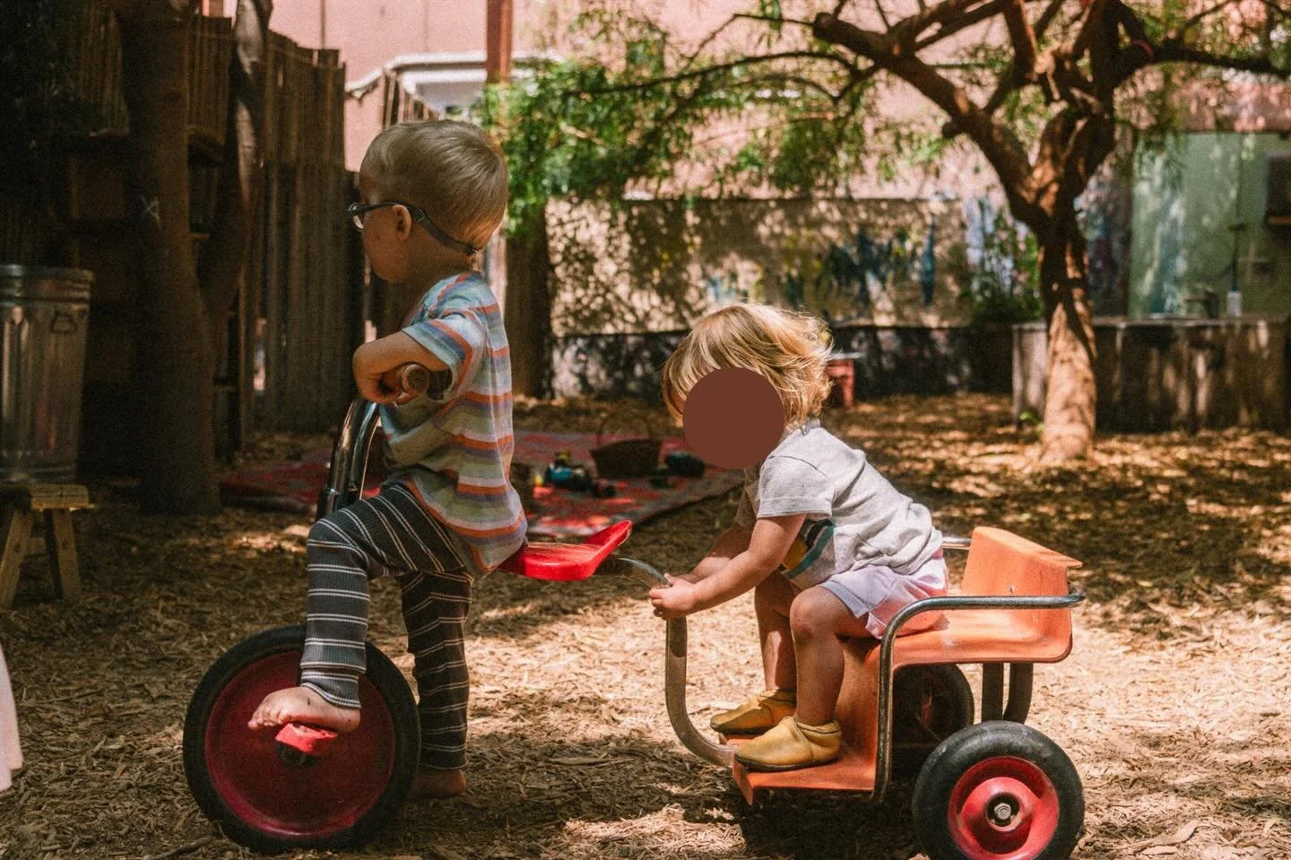 Hitchin a ride in big yard!