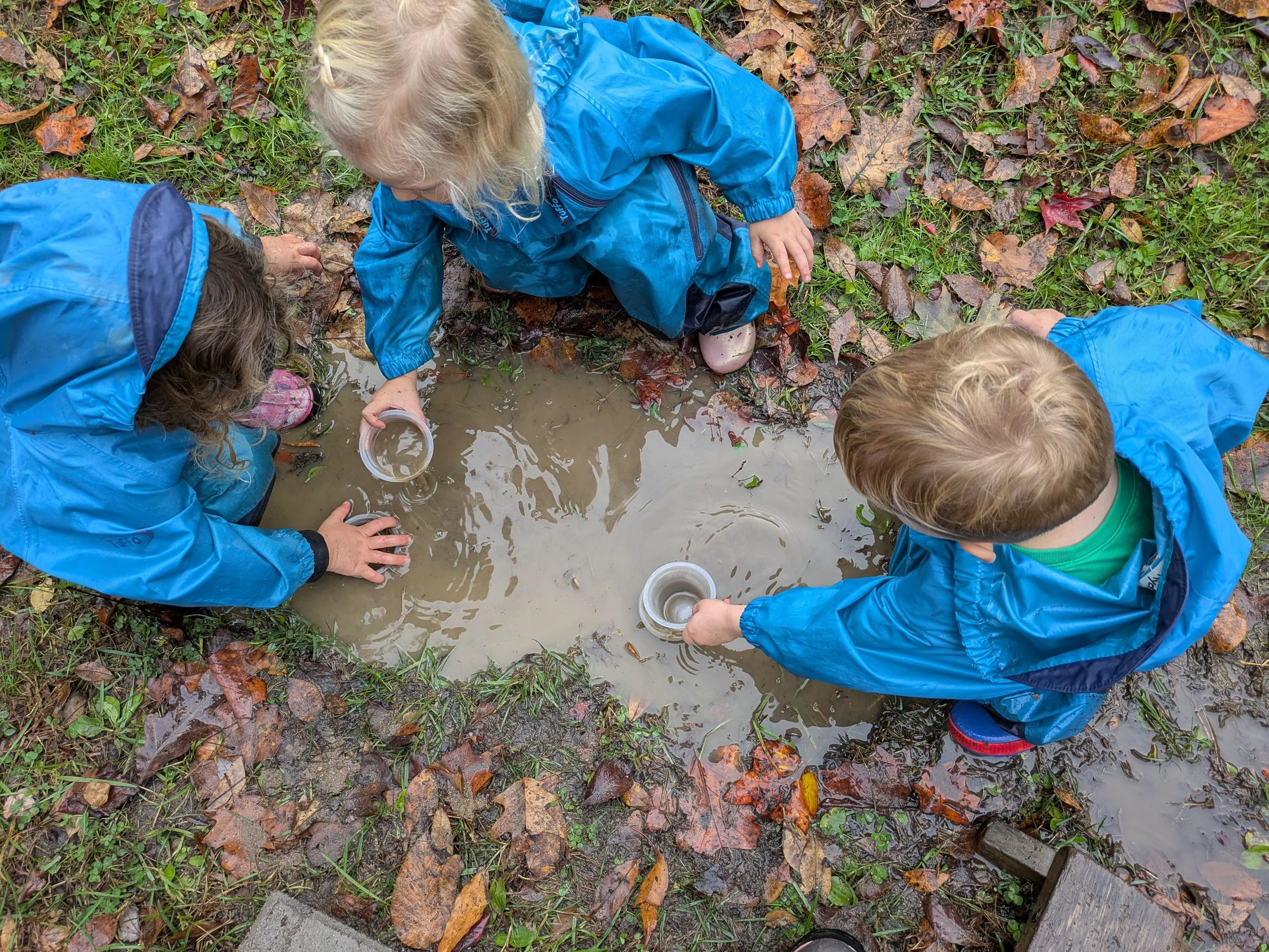 Children playing outside near a puddle of water on the ground, surrounded by fallen autumn leaves.