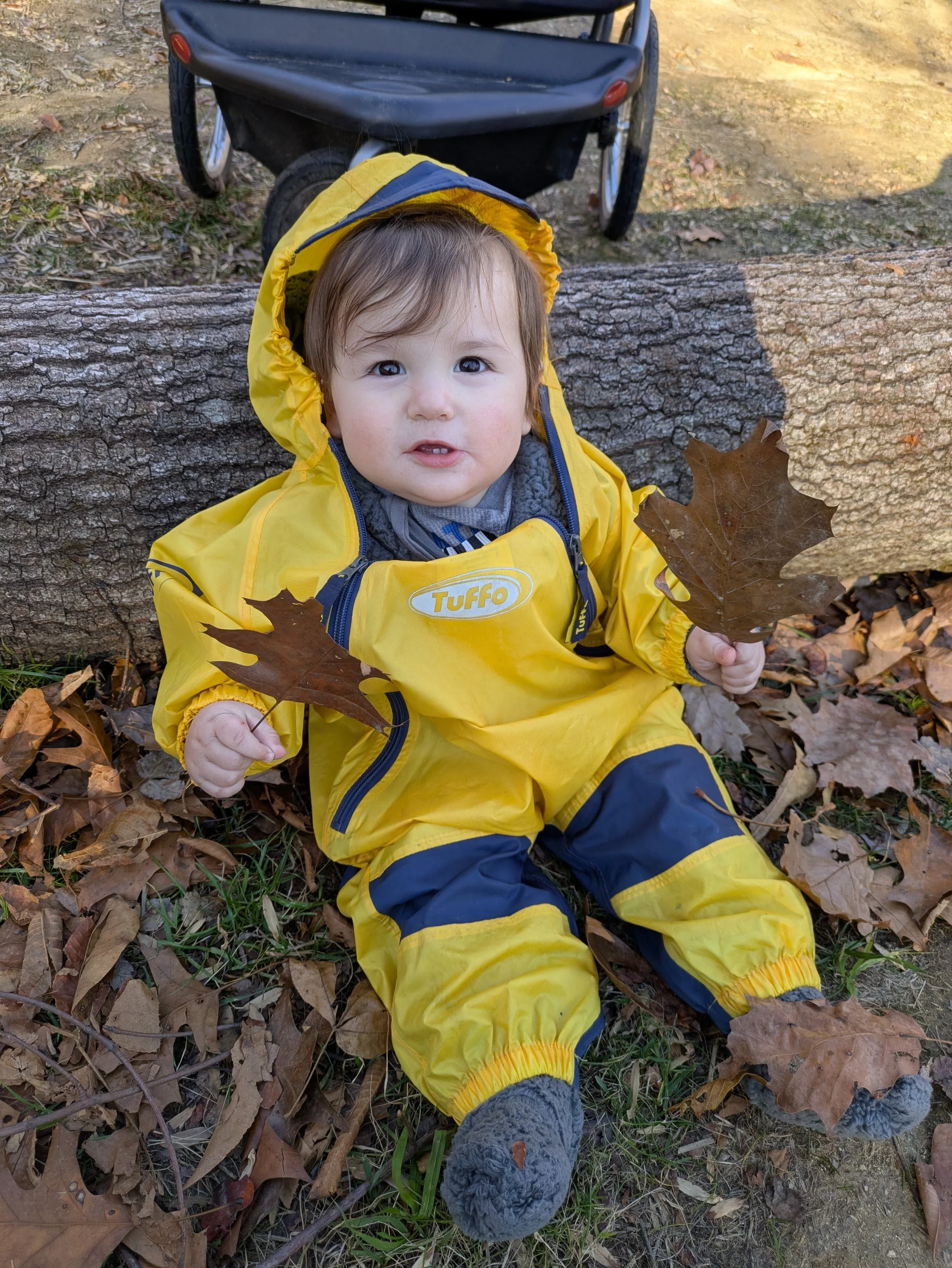 A young child with brown hair and bright eyes sitting on the ground, surrounded by fallen autumn leaves. The child is wearing a yellow rain jacket, gray boots, and gray gloves, and is holding a large brown leaf. A stroller is visible behind the child, and the setting appears to be a park or outdoor area with a tree trunk and dirt path.