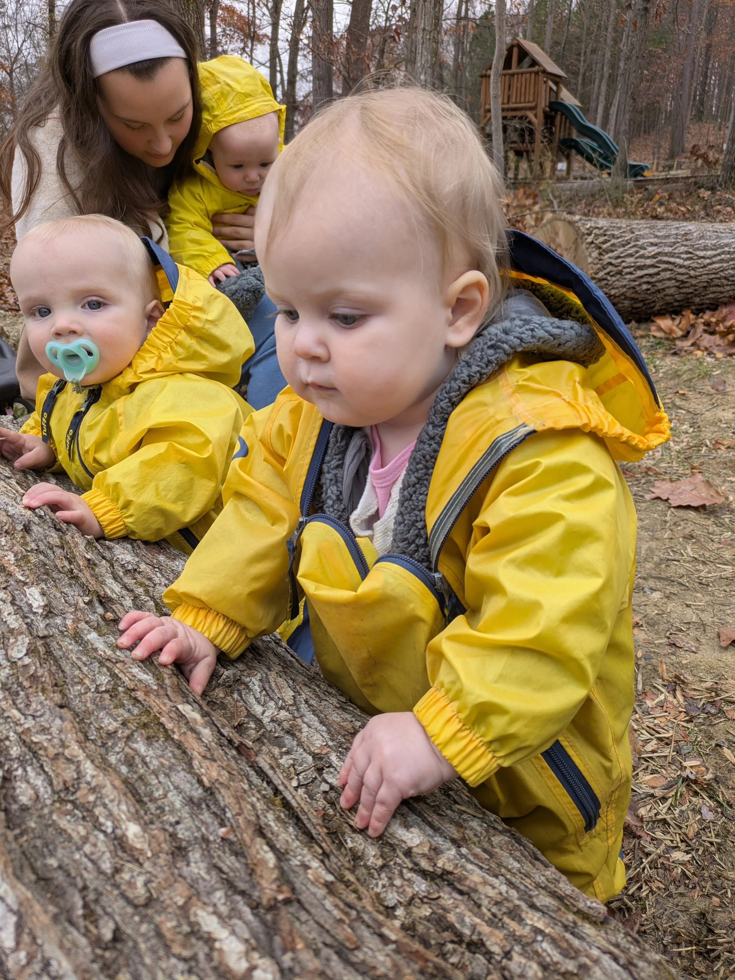 A group of young children, dressed in yellow rain jackets, are gathered around a fallen tree trunk in an outdoor, autumnal forest setting. They appear to be exploring or playing, with one child having a pacifier and others looking intently at the tree.