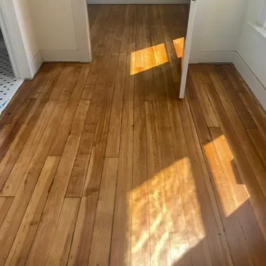 Sunshine reflecting off a hardwood floor inside a room.