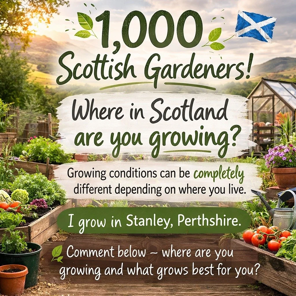 🌱 GrowWhere just passed 1,000 Scottish gardeners!

This page started with a simple idea &mdash; gardening advice online rarely reflects Scotland&rsquo;s climate.

What grows well can be completely different depending on whether you're in the Highlan