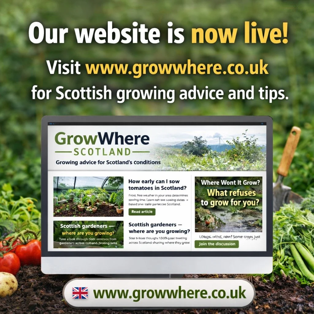 🌱 GrowWhere now has a website!

The goal of GrowWhere is simple &mdash;
to build a real picture of what actually grows across Scotland.

Because what grows well in the Highlands, the Islands, Perthshire, the east coast or the central belt can be com