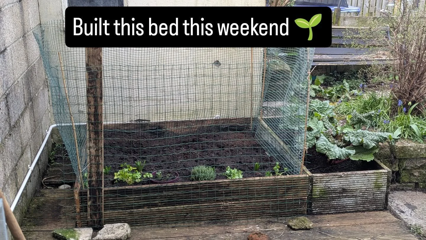 Not posted for 10 days&hellip; but we&rsquo;ve been building 👀🌱

My husband built this raised bed at the weekend using old decking that had rotted where my patio trees were 🌳

We reused all the good bits instead of throwing it out &mdash; and turn