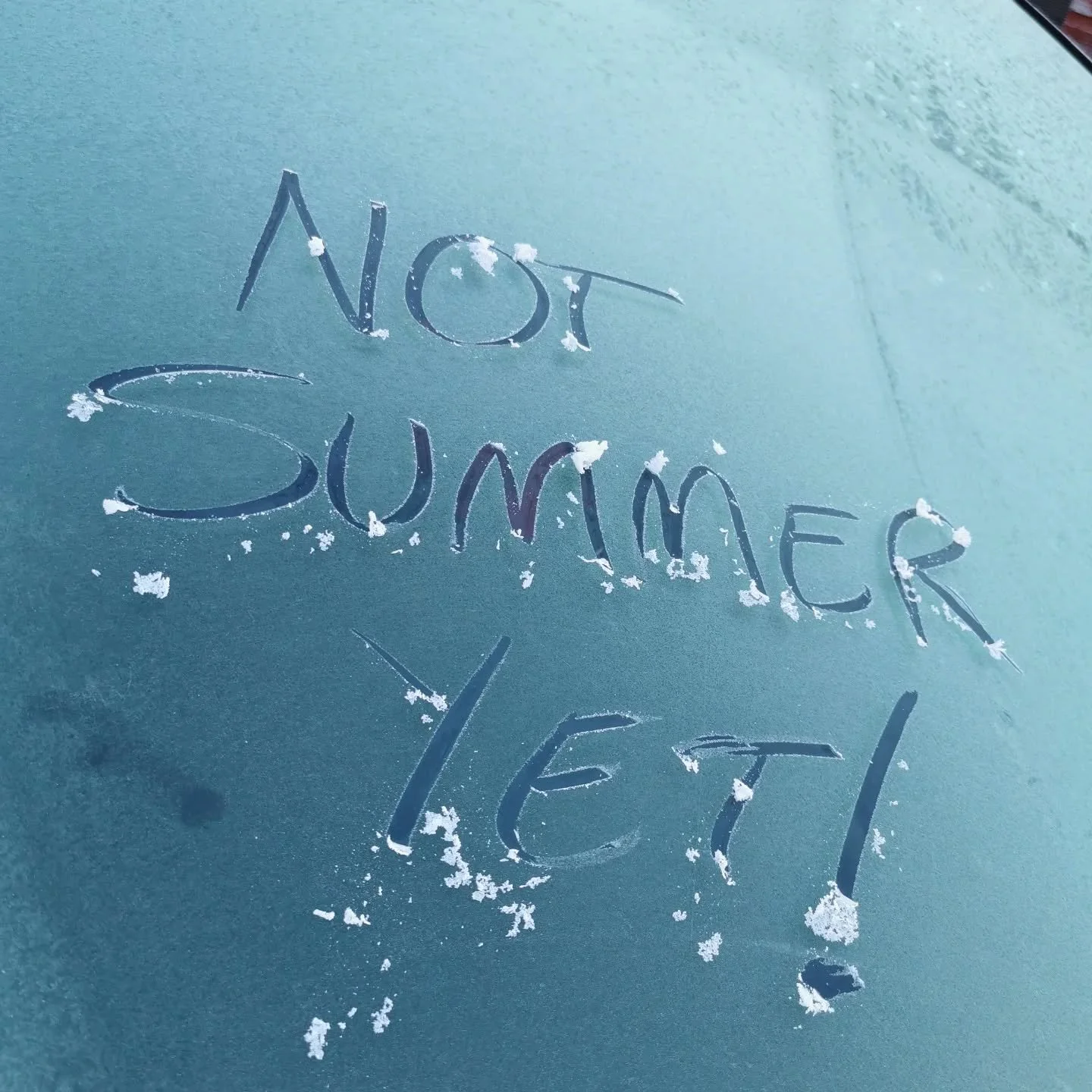 &ldquo;Not summer yet&hellip;&rdquo; ❄️

Just in case Scotland thought we were getting ideas.

We&rsquo;re right in the middle of sowing season &mdash; seedlings are up, trays are full, and everything feels like it should be going outside&hellip;

An