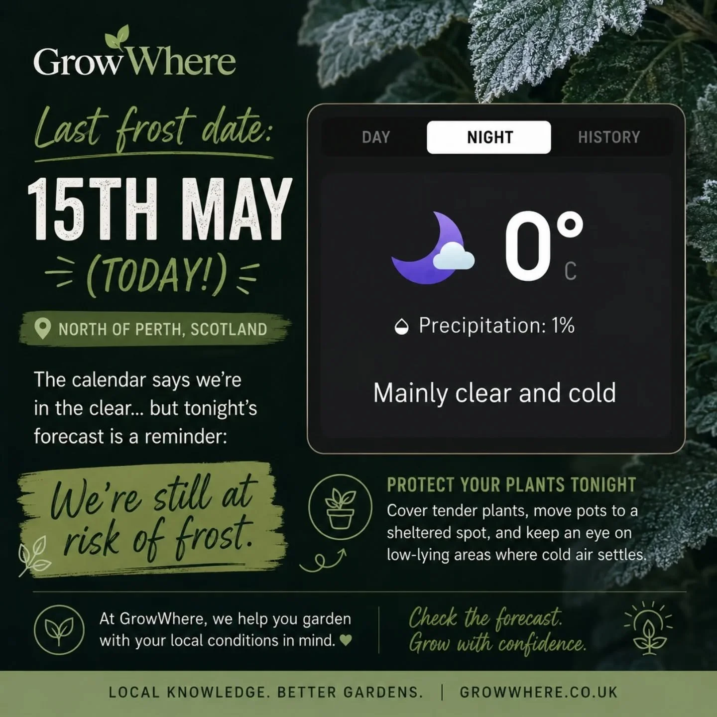 My area&rsquo;s average last frost date is meant to be today &mdash; 15th May &mdash; yet tonight we&rsquo;re forecast to hit 0&deg;C just north of Perth 👀❄️

A reminder that even once you reach your &ldquo;last frost date&rdquo;, frost risk doesn&r