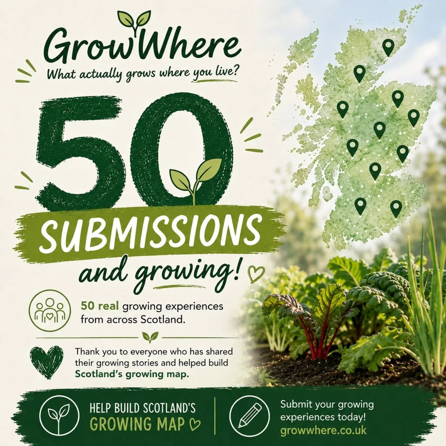 🌱 50 submissions and growing! 🌱

When I started GrowWhere, the goal was simple:

To build a Scotland-wide picture of what actually grows well in different locations, soil types and growing conditions.

Today we've reached 50 submissions from grower