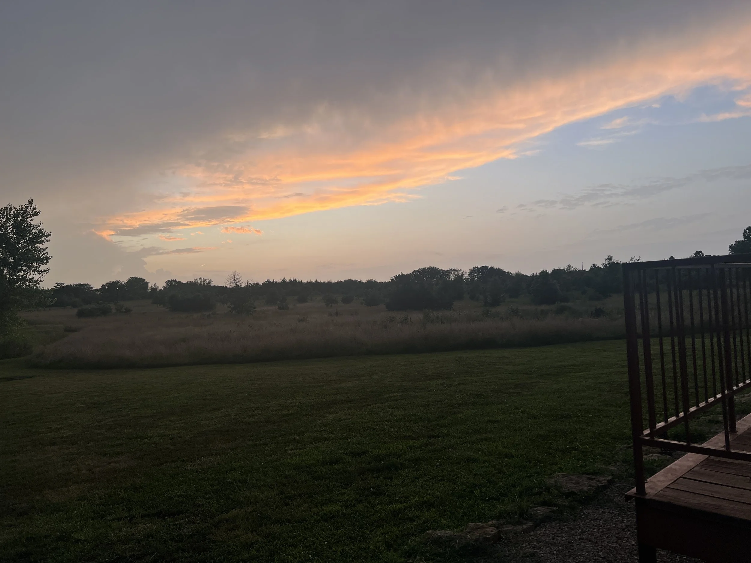 IMG_7149.jpeg