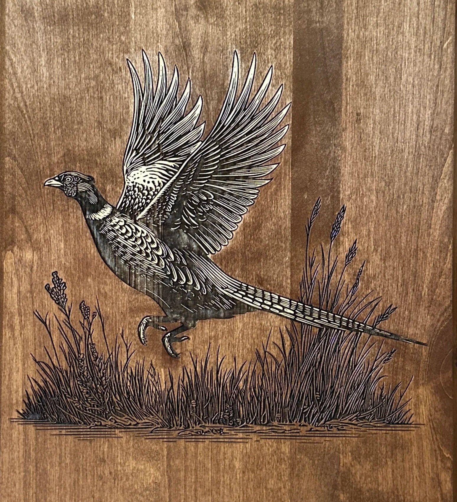 Drawing of a bird with large wings standing on grass on a brown background.