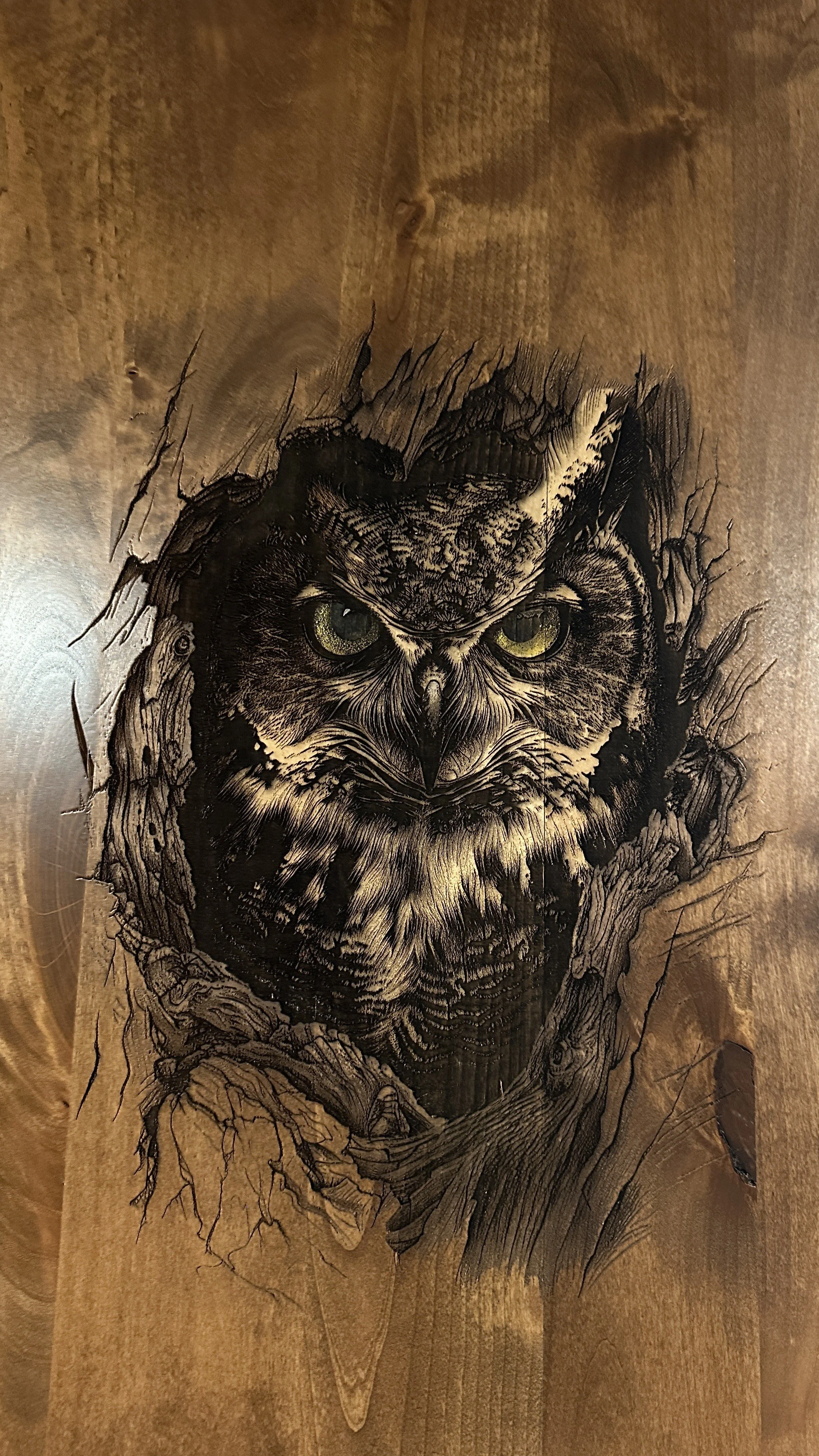 Black ink drawing of an owl's face with detailed feathers, set against a wooden background, with branches surrounding it.