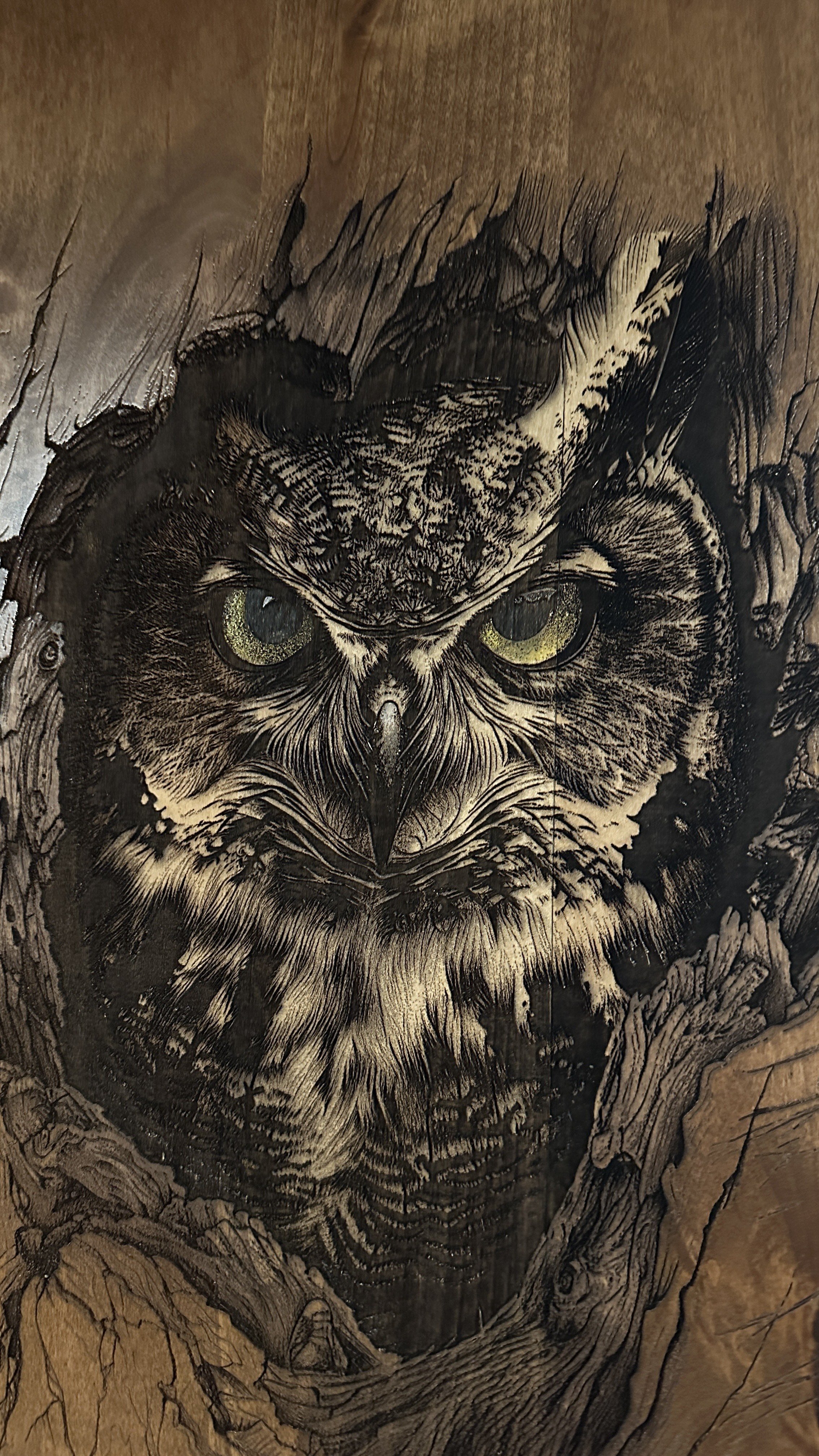 A detailed black and white illustration of an owl's face peering through tree branches.