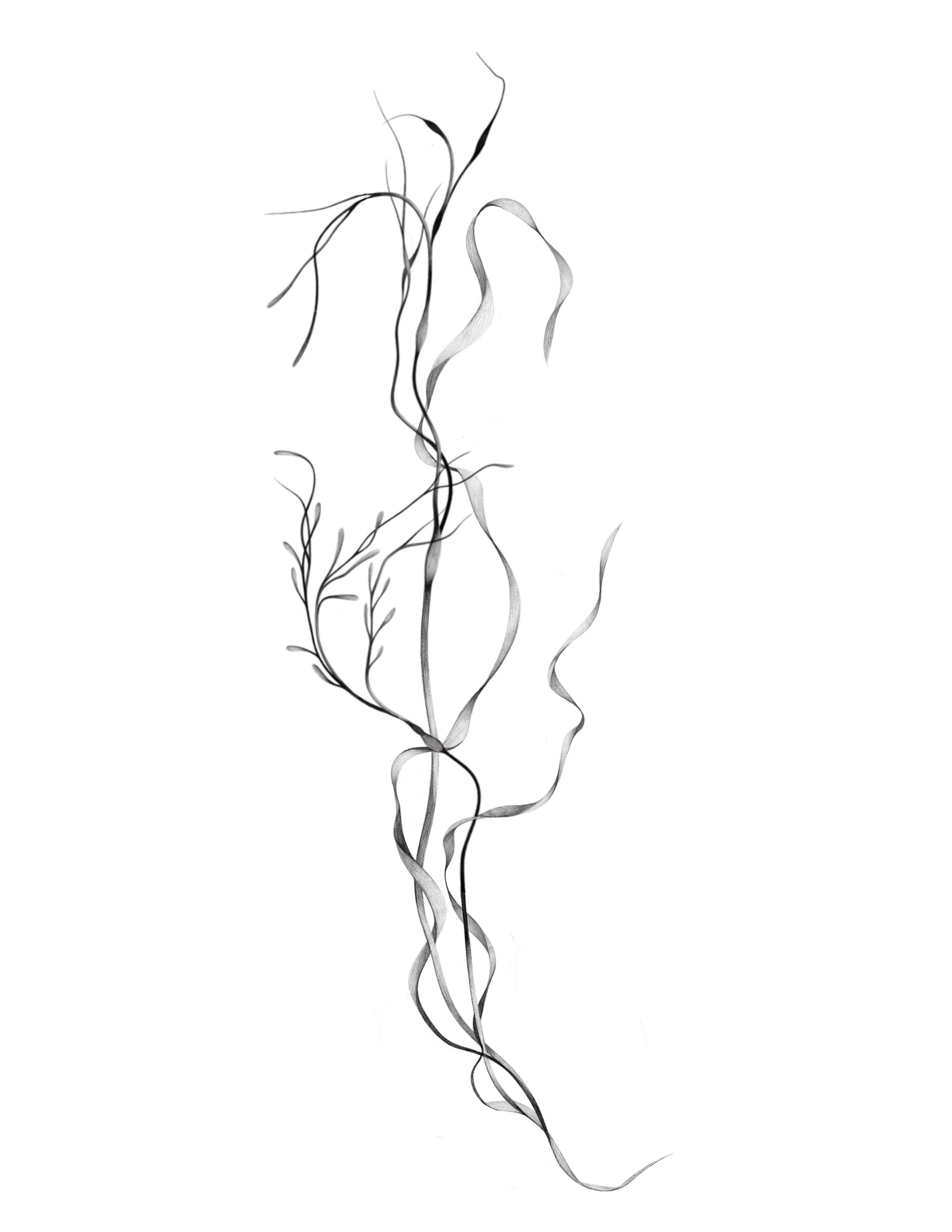 kelp
  25in min 
  open to breaking it apart or adapting it down to fit different places on the body