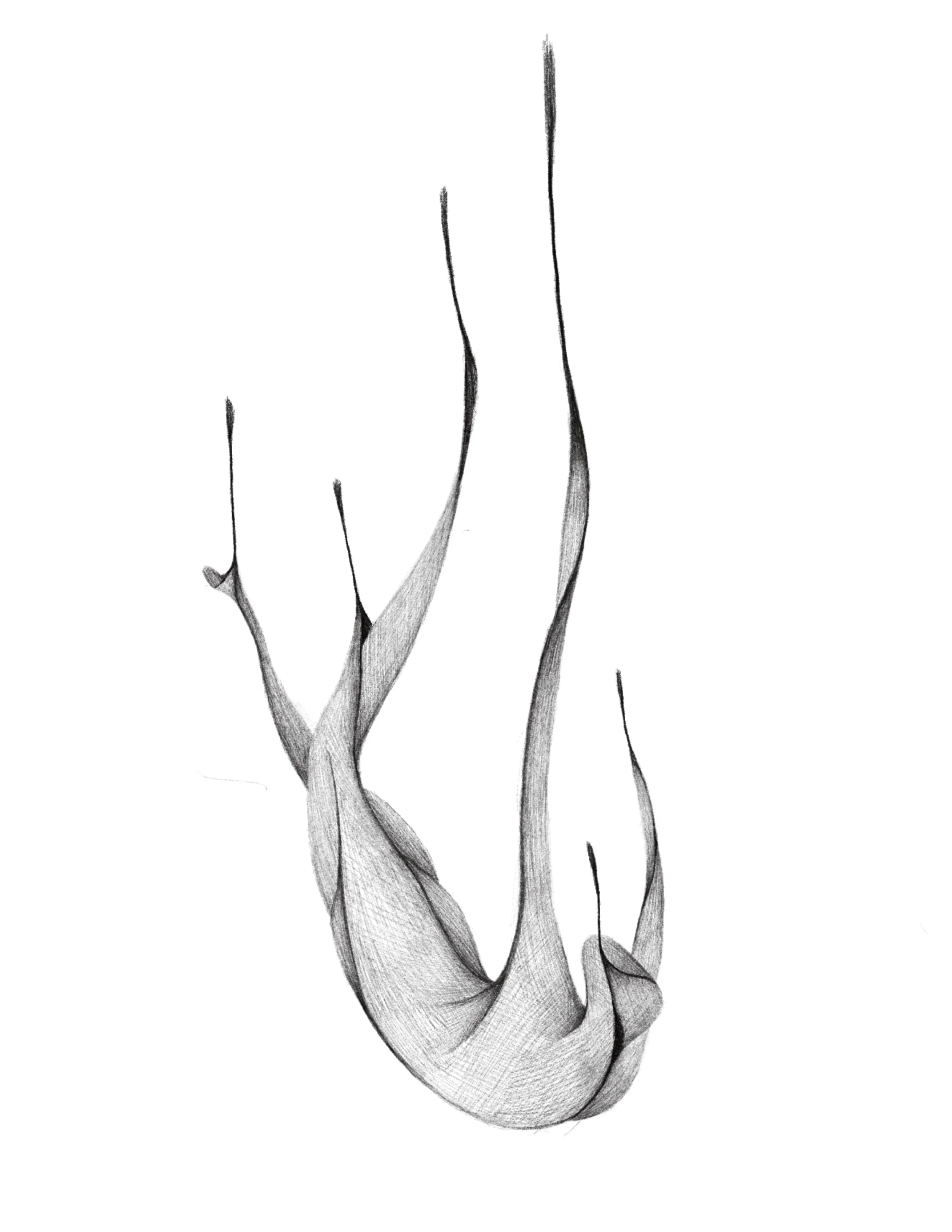 possession
  7in min
