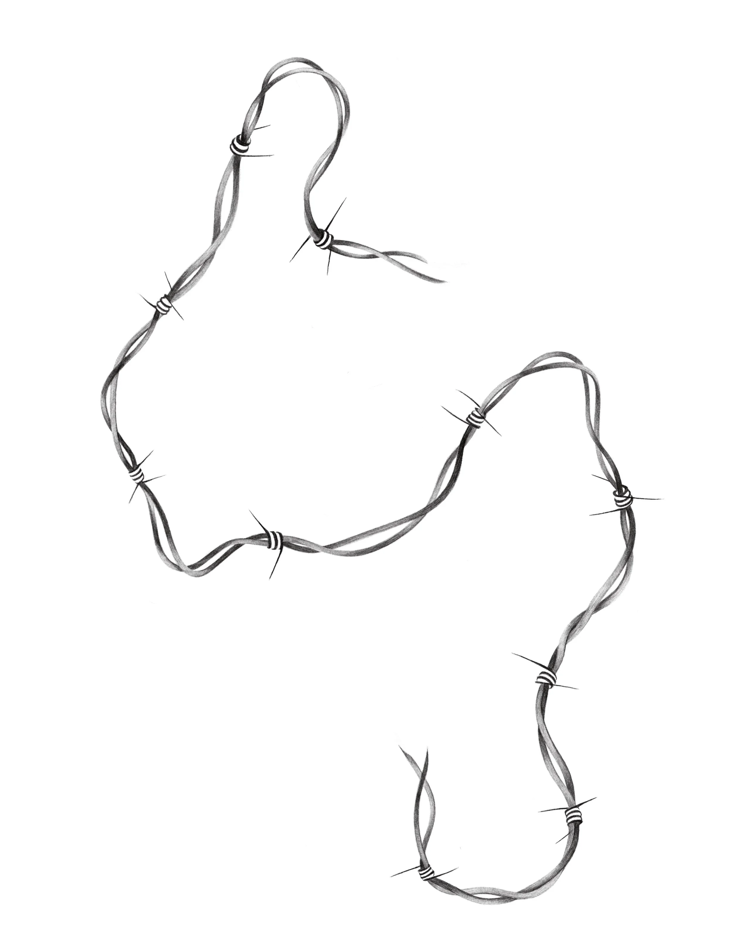 barbwire
  18in min
  would be happy to chop up into smaller chunks or adapt for certain parts of the body