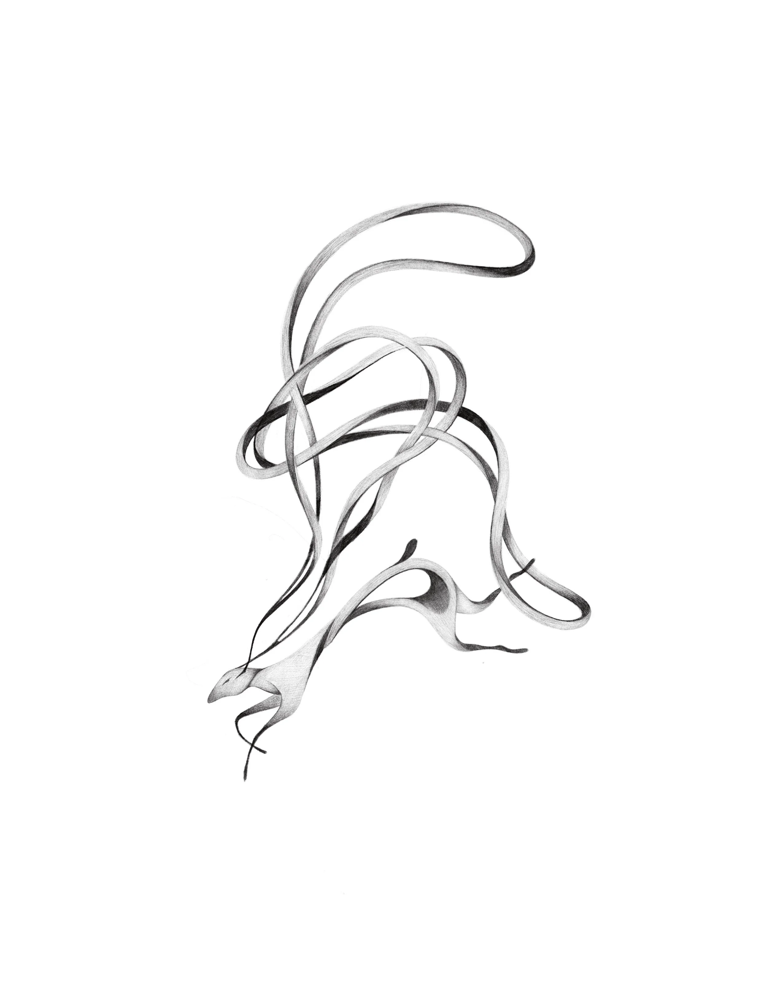 rabbit
  10in min
  really wanna do this on a back or tummy  or thigh