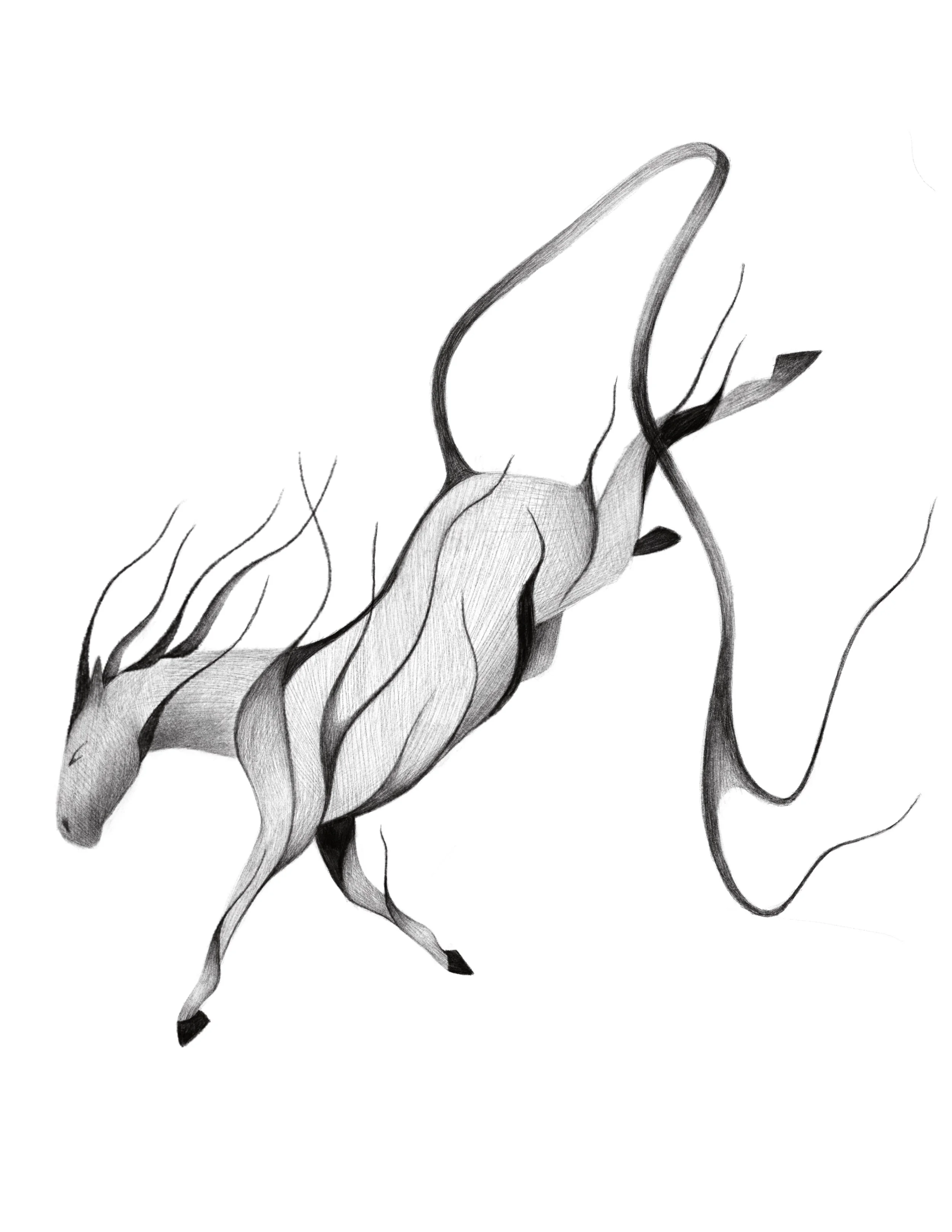 fire horse 
 7-9in min