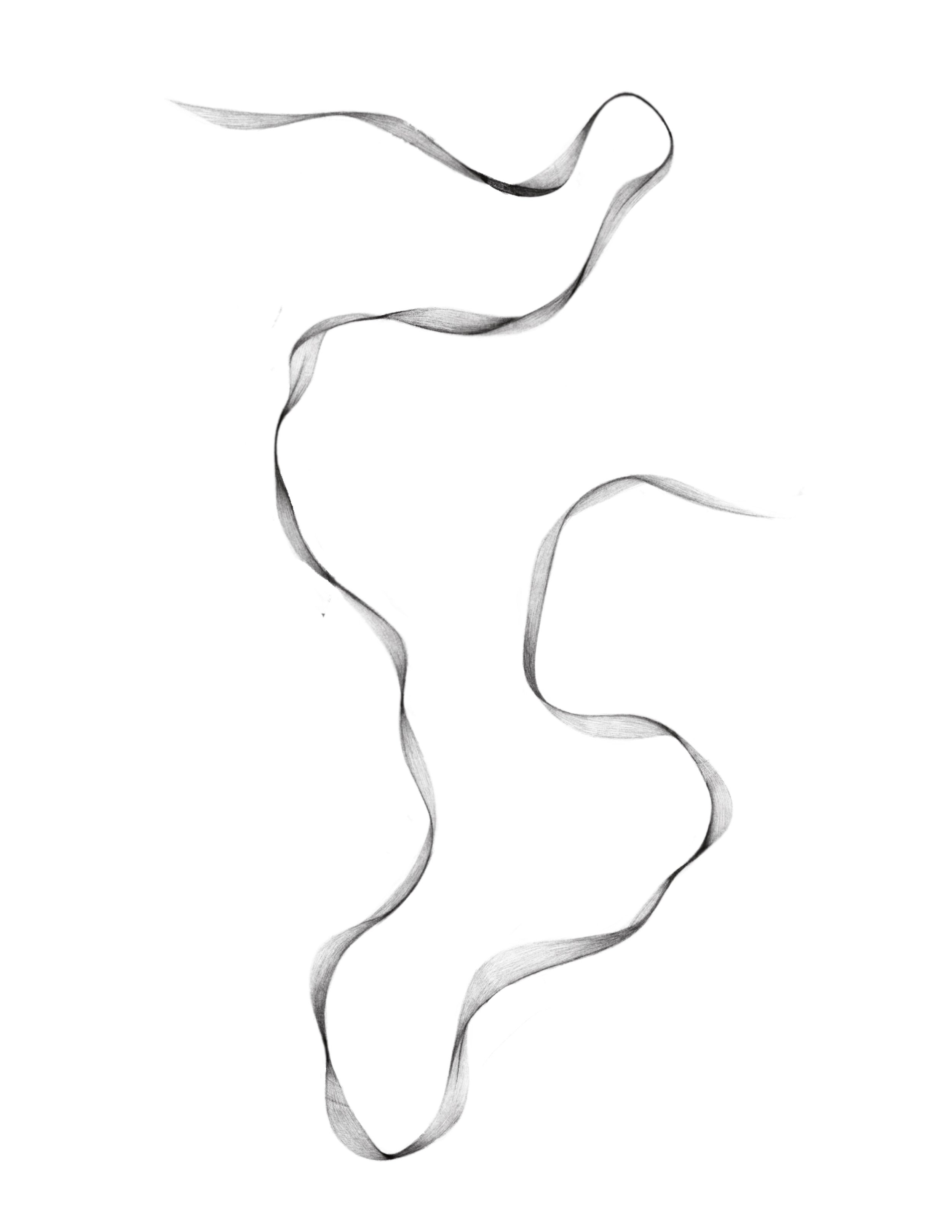tendril - 3
  12in min