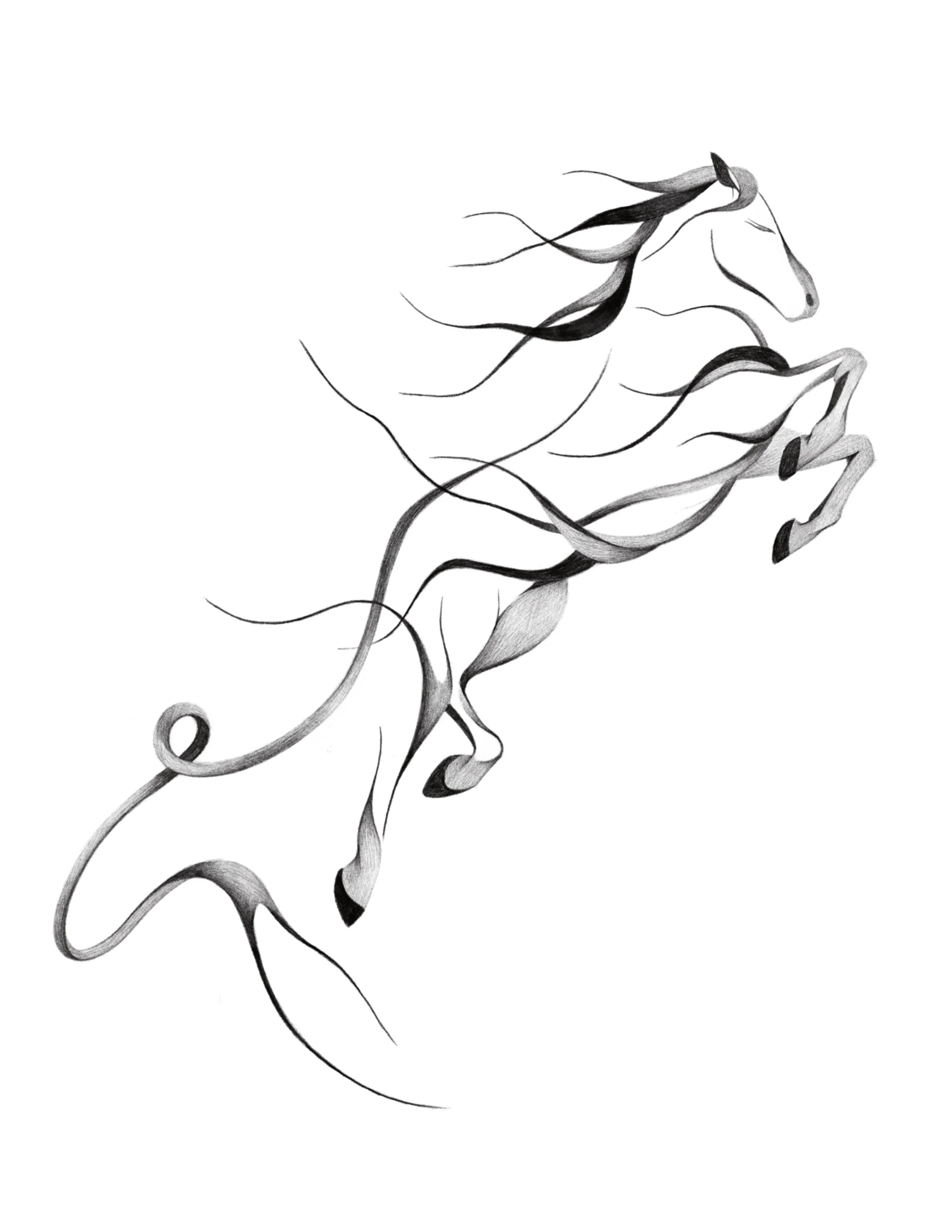 fire horse - 2
  7-9in min