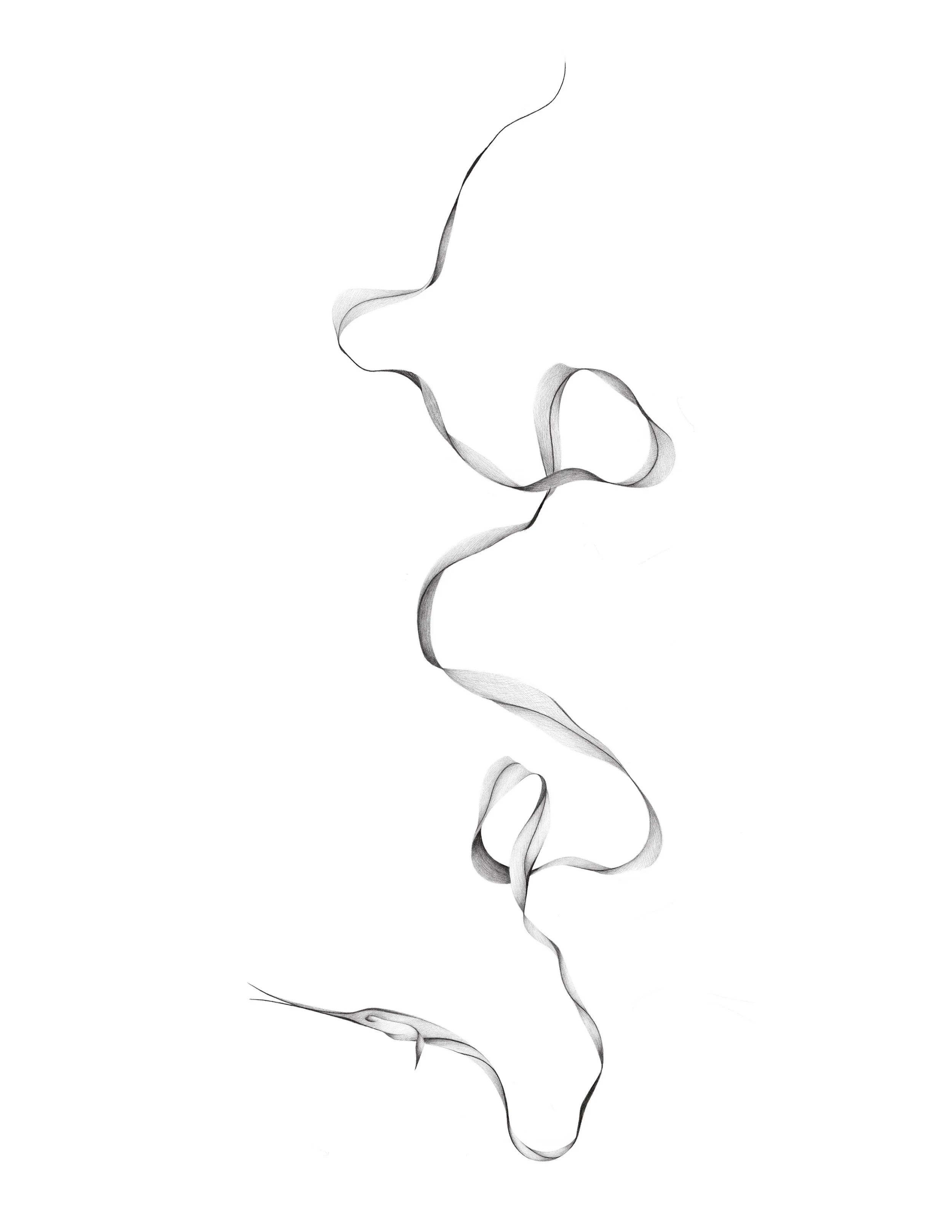eel
  18in min
  i think would look so good as a blast over or something to weave through and tie your collection together